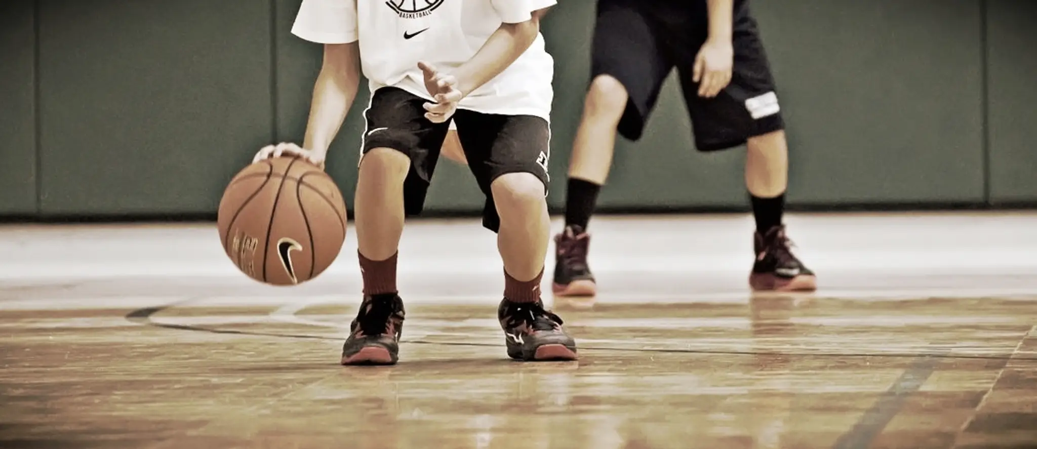 Live Well 4 Life Inc.