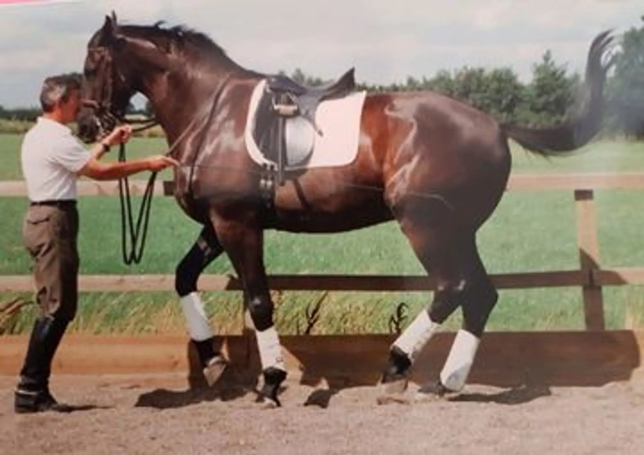 Tanglewood Equestrian Centre