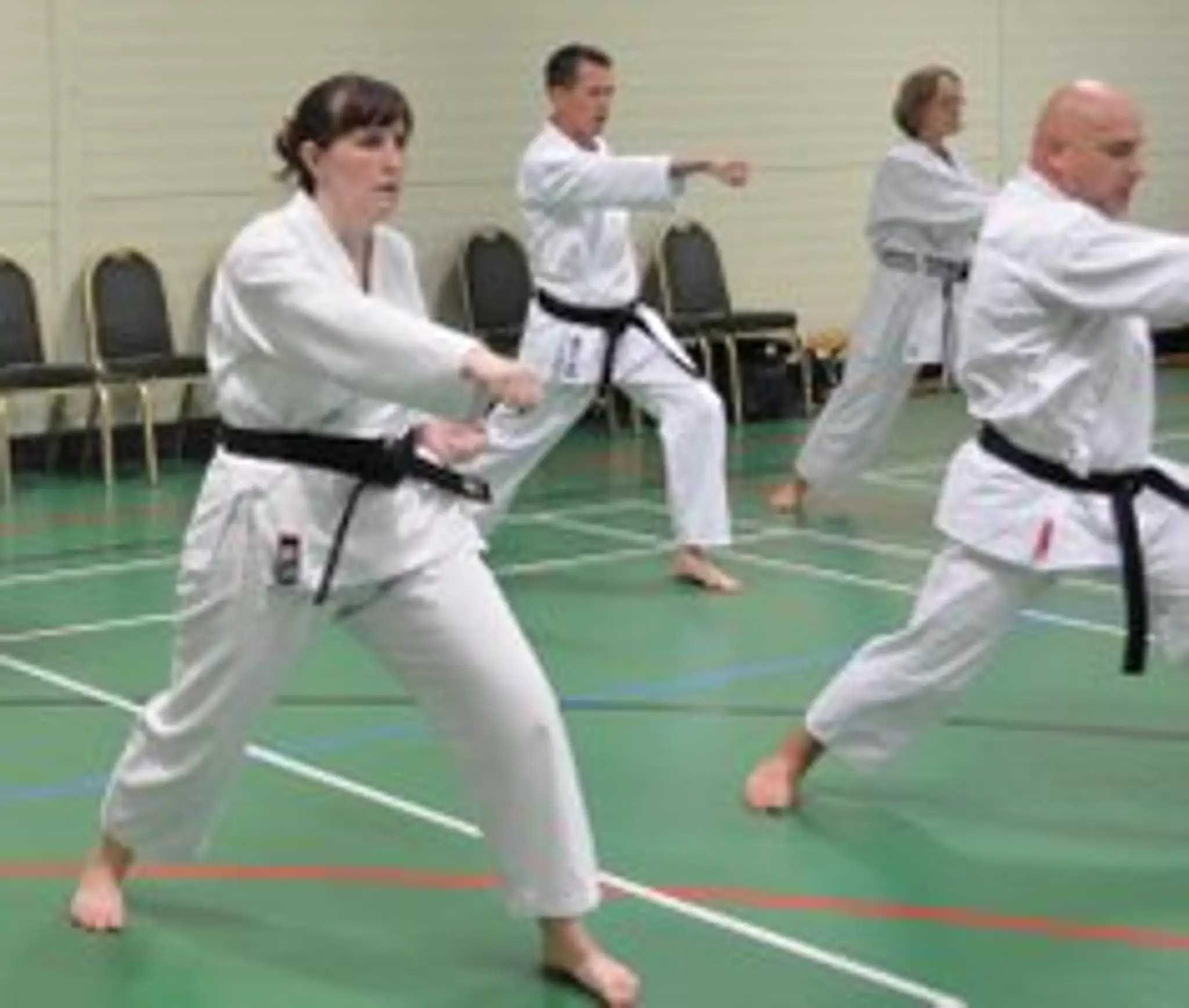 Wareham and Purbeck Karate Club