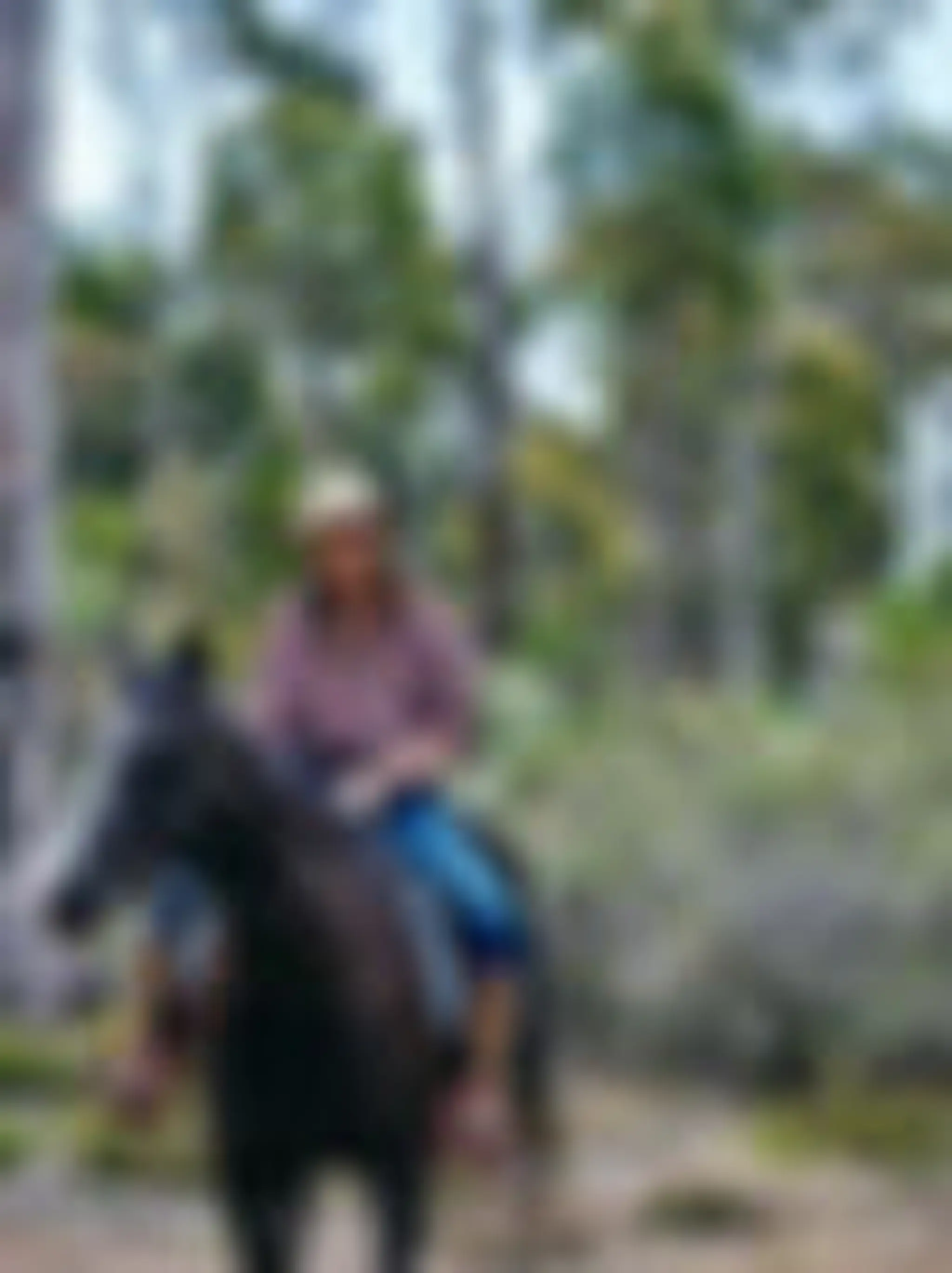 Outback Horse Trails