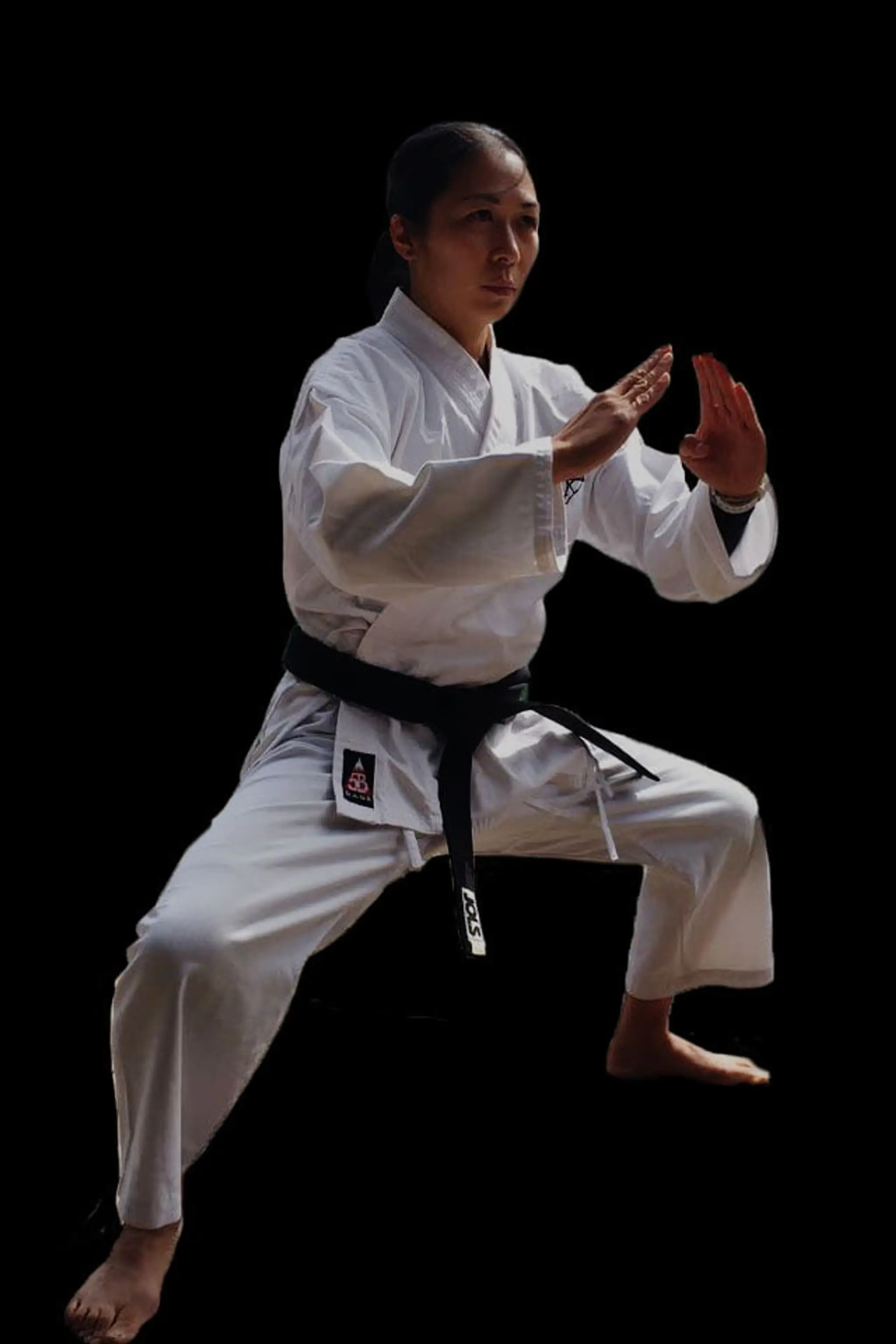 Lee's Karate