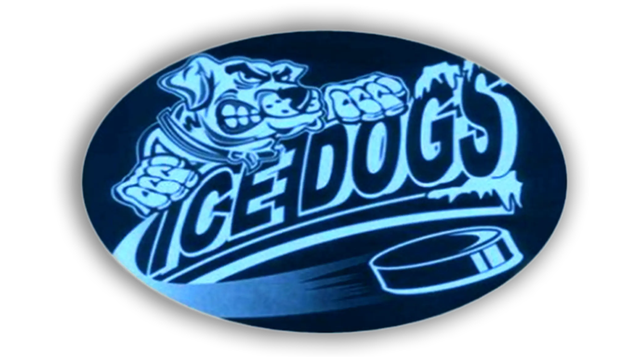 Ice Dogs Hockey Camps