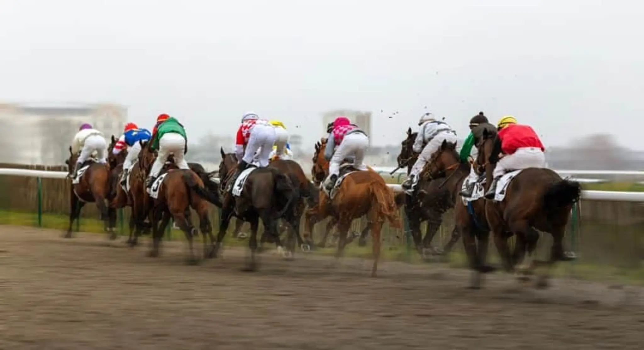 Comite Regional Equitation Du Limousin