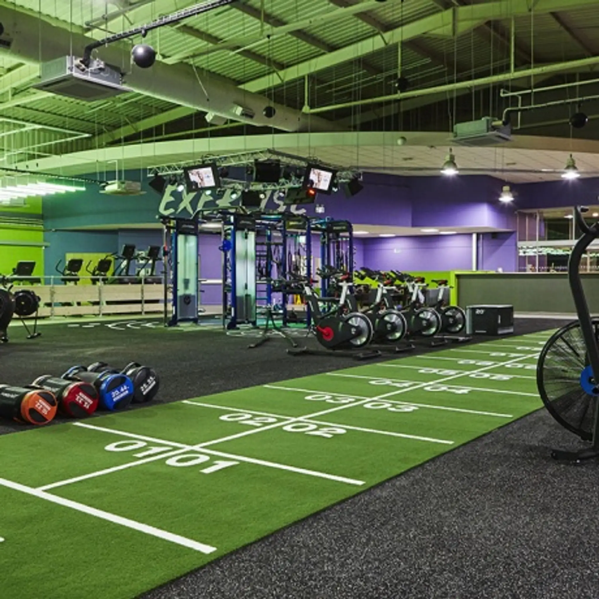 Coach Regan Personal Training