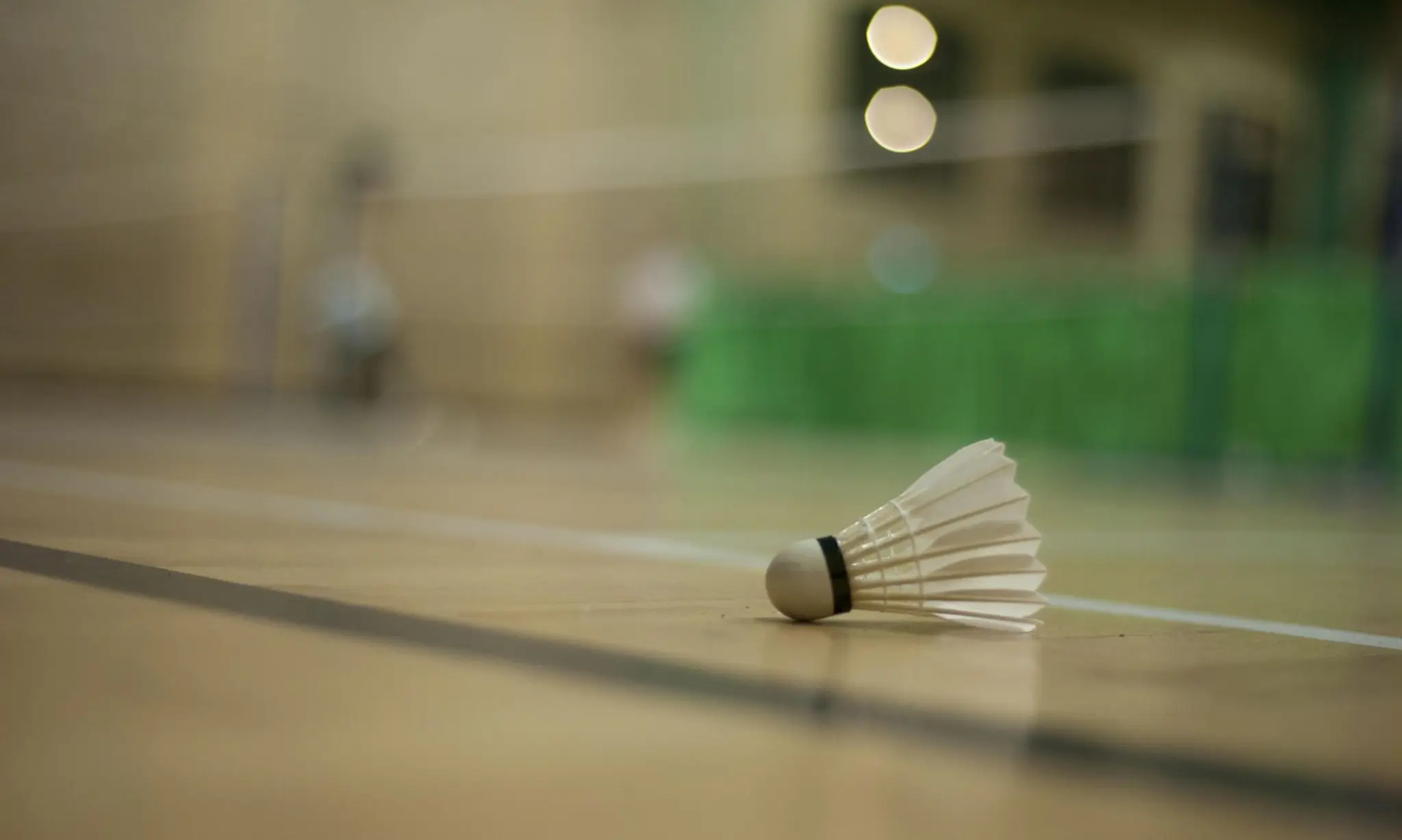 Oasis Badminton Club