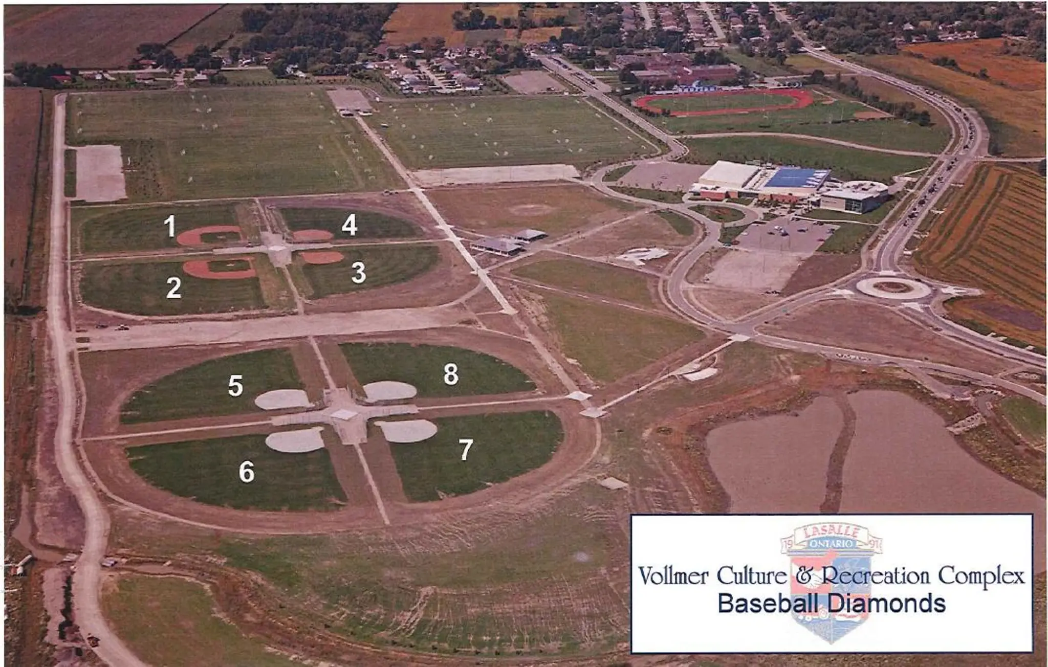 Turtle Club Diamond #6