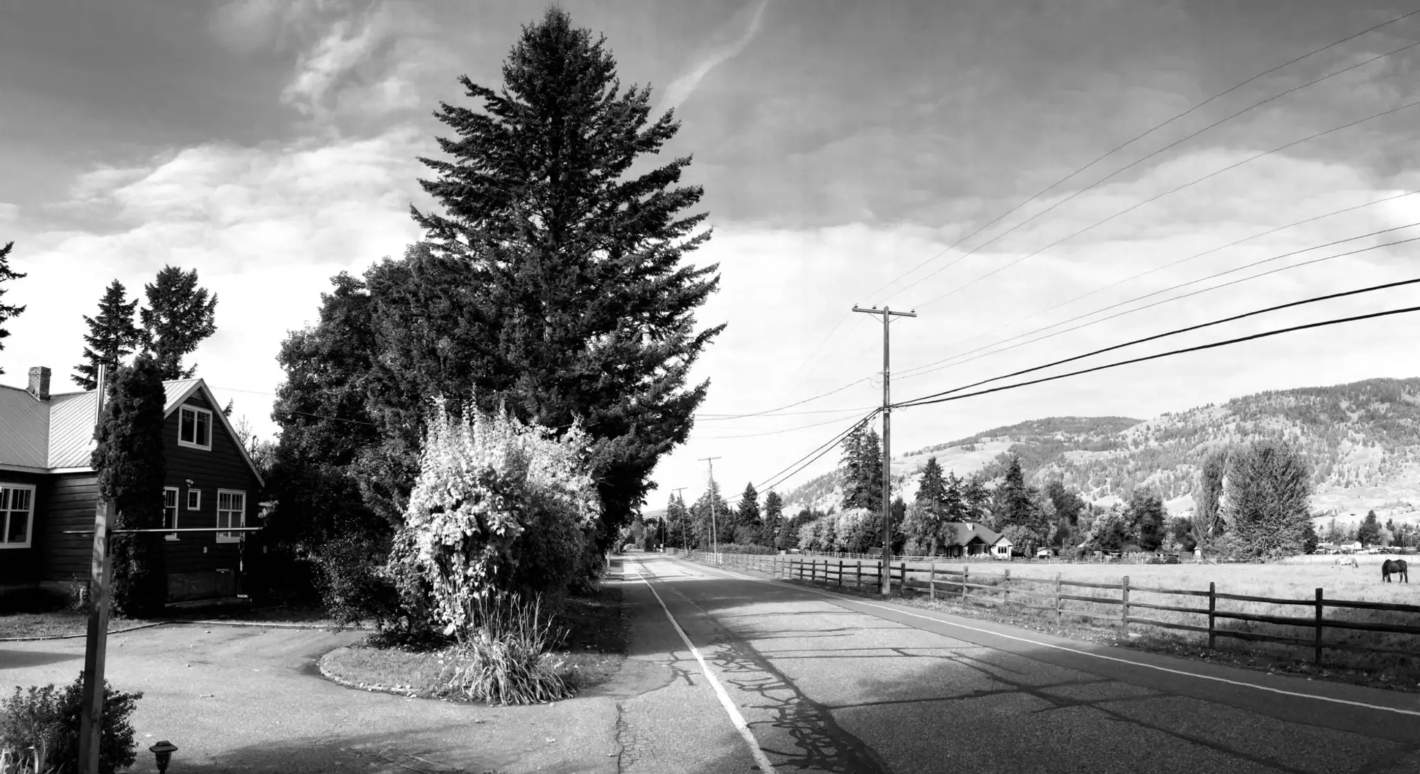 Idlewild Health Studio