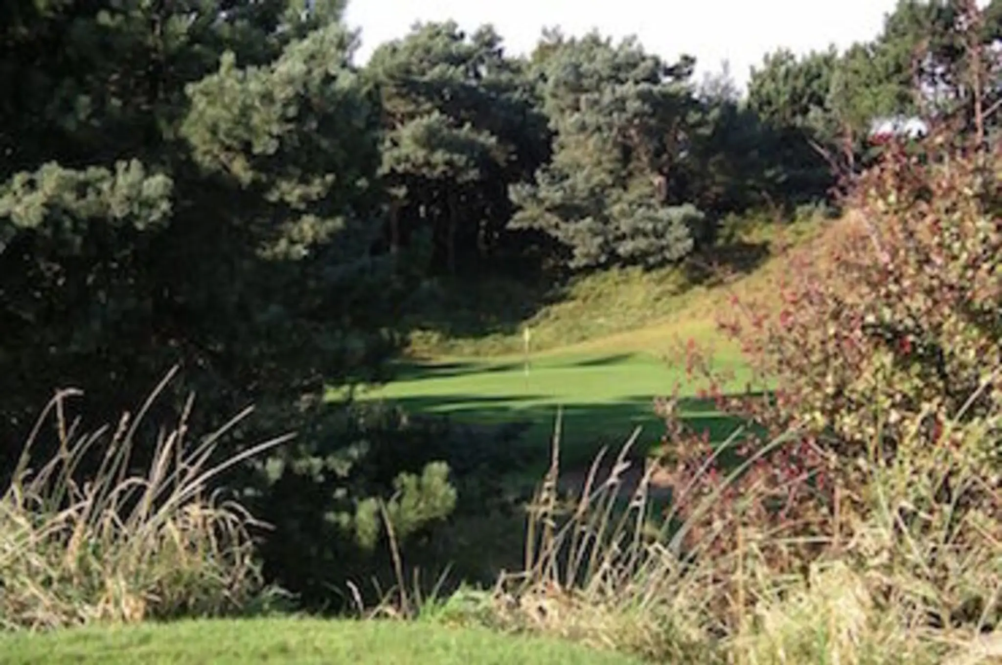 Formby Ladies Golf Club