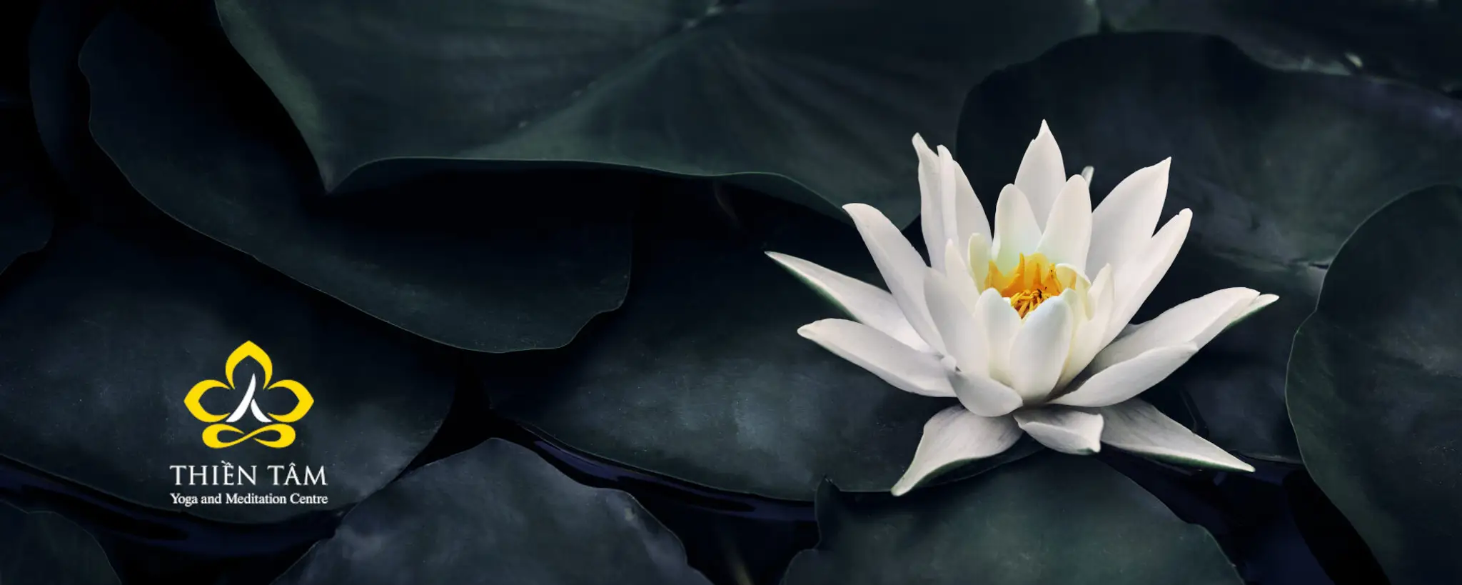 Thien Tam - Yoga and Meditation Centre