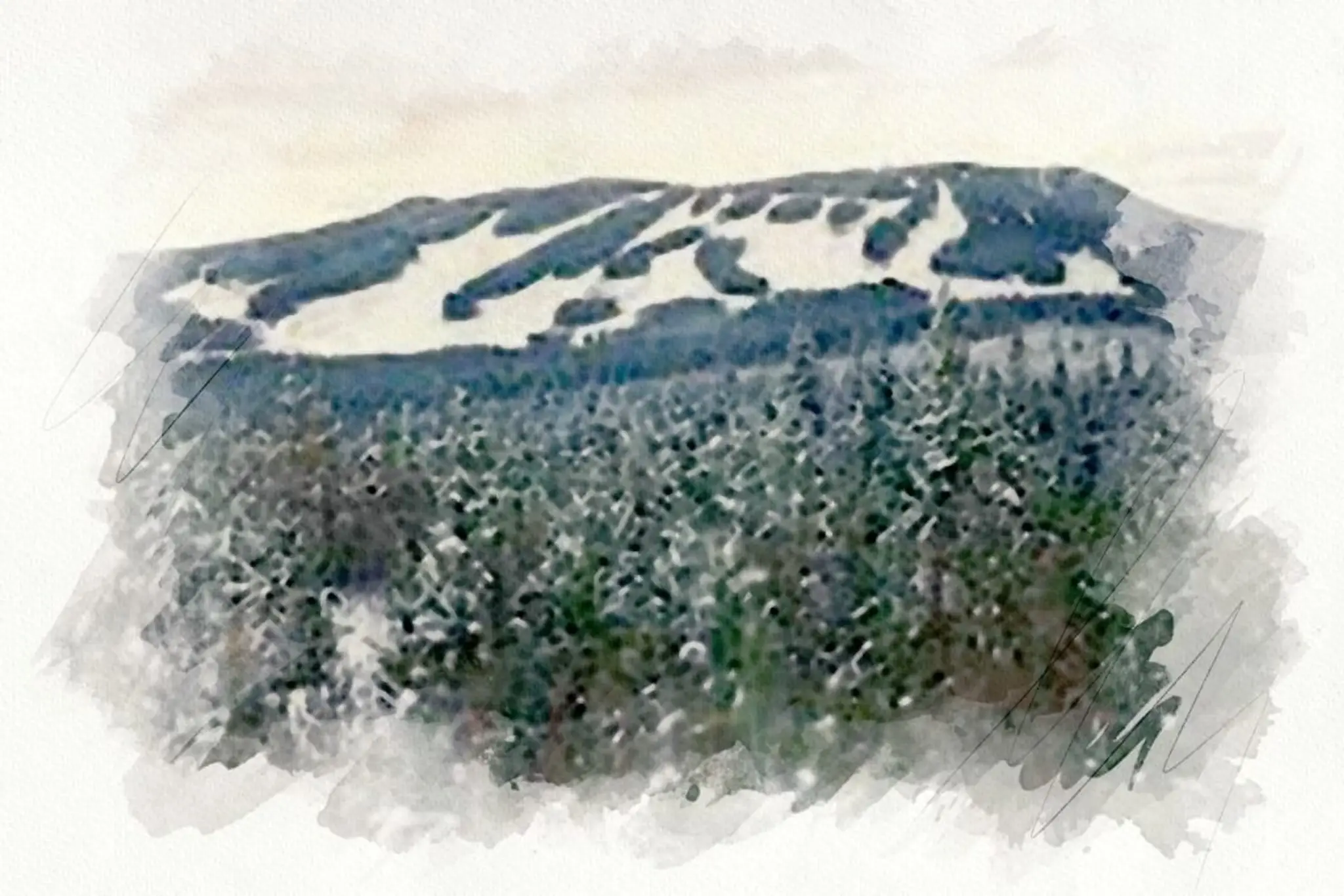 Mount Timothy Recreational Resort