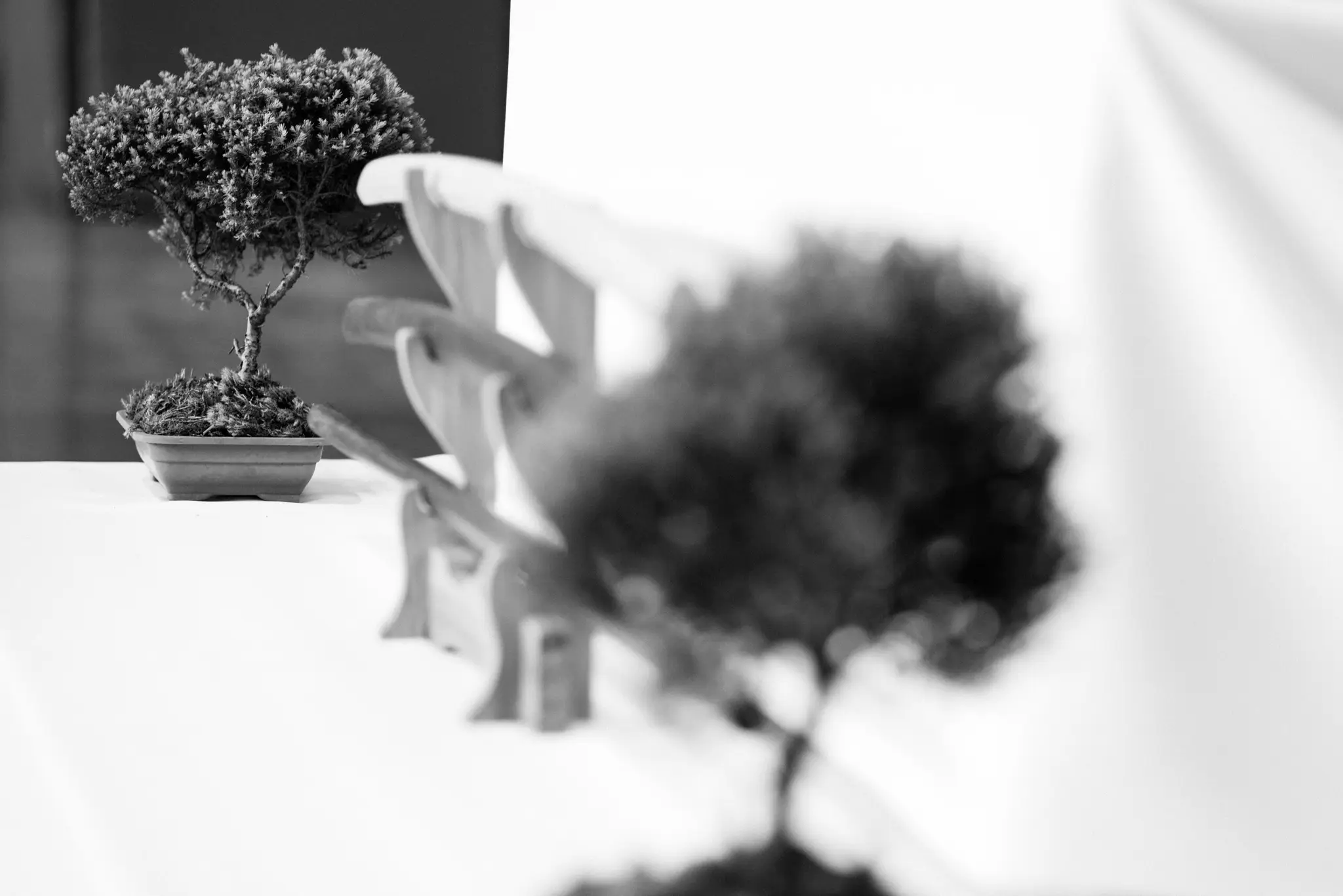 AIKIDO KOMATSU DOJO JOINVILLE