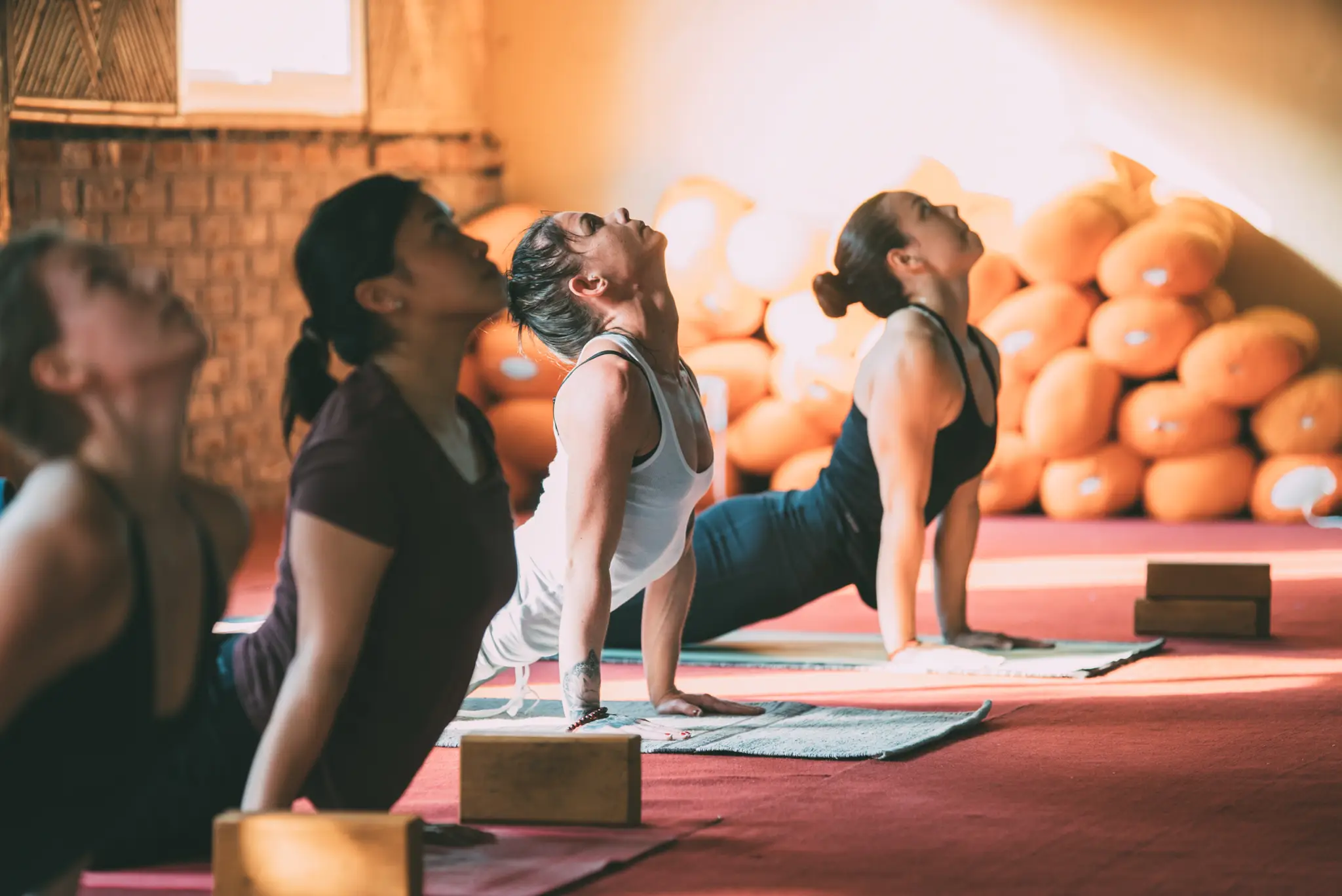 Yoga Teacher Training Classes in Rishikesh