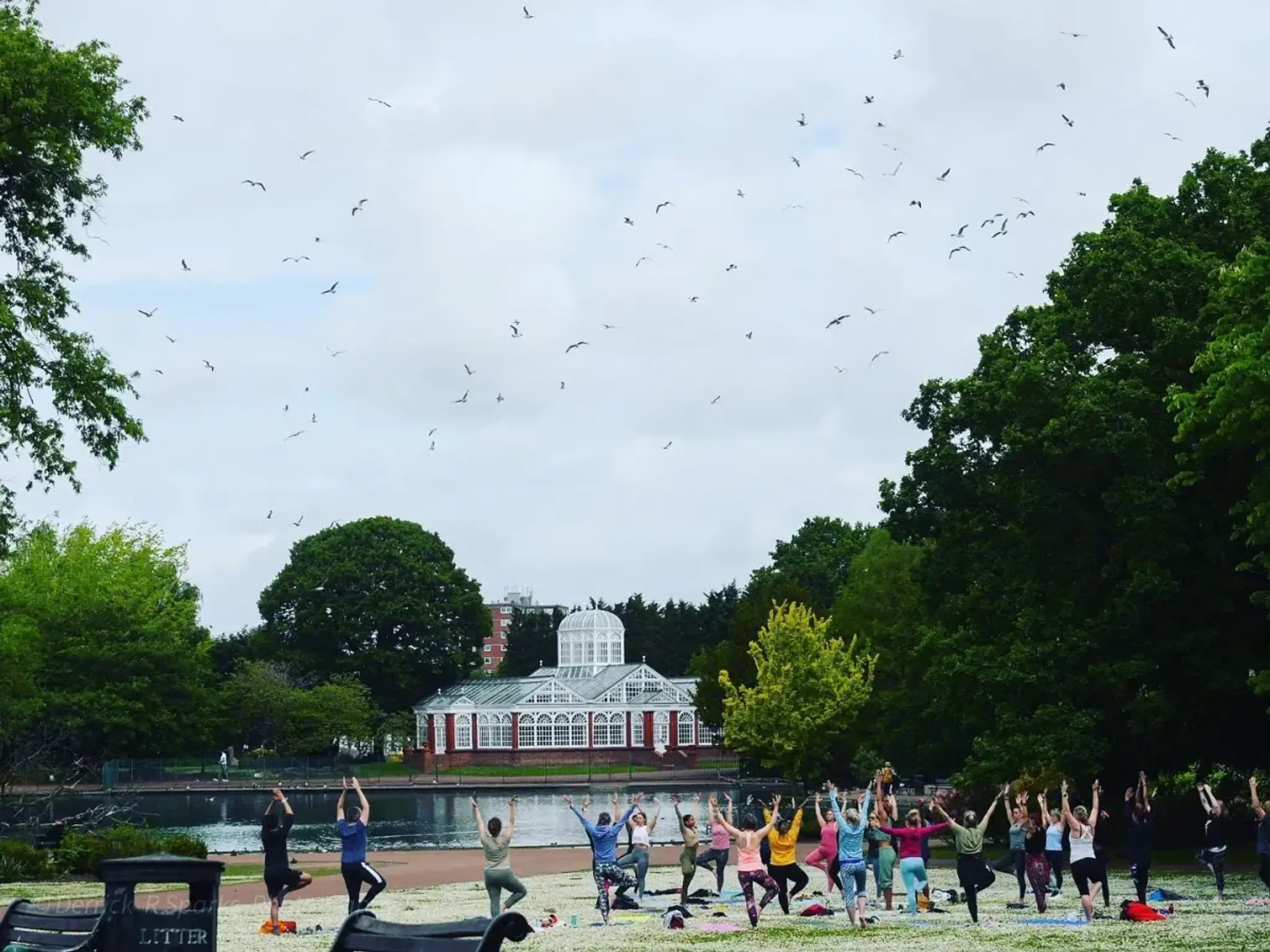 The Soulful Tribe (Powered by IGo Yoga)