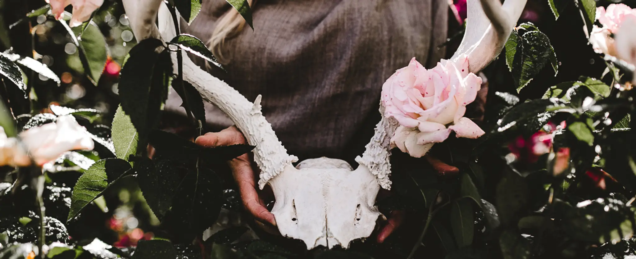 Natalie Rousseau ~ Living Yoga