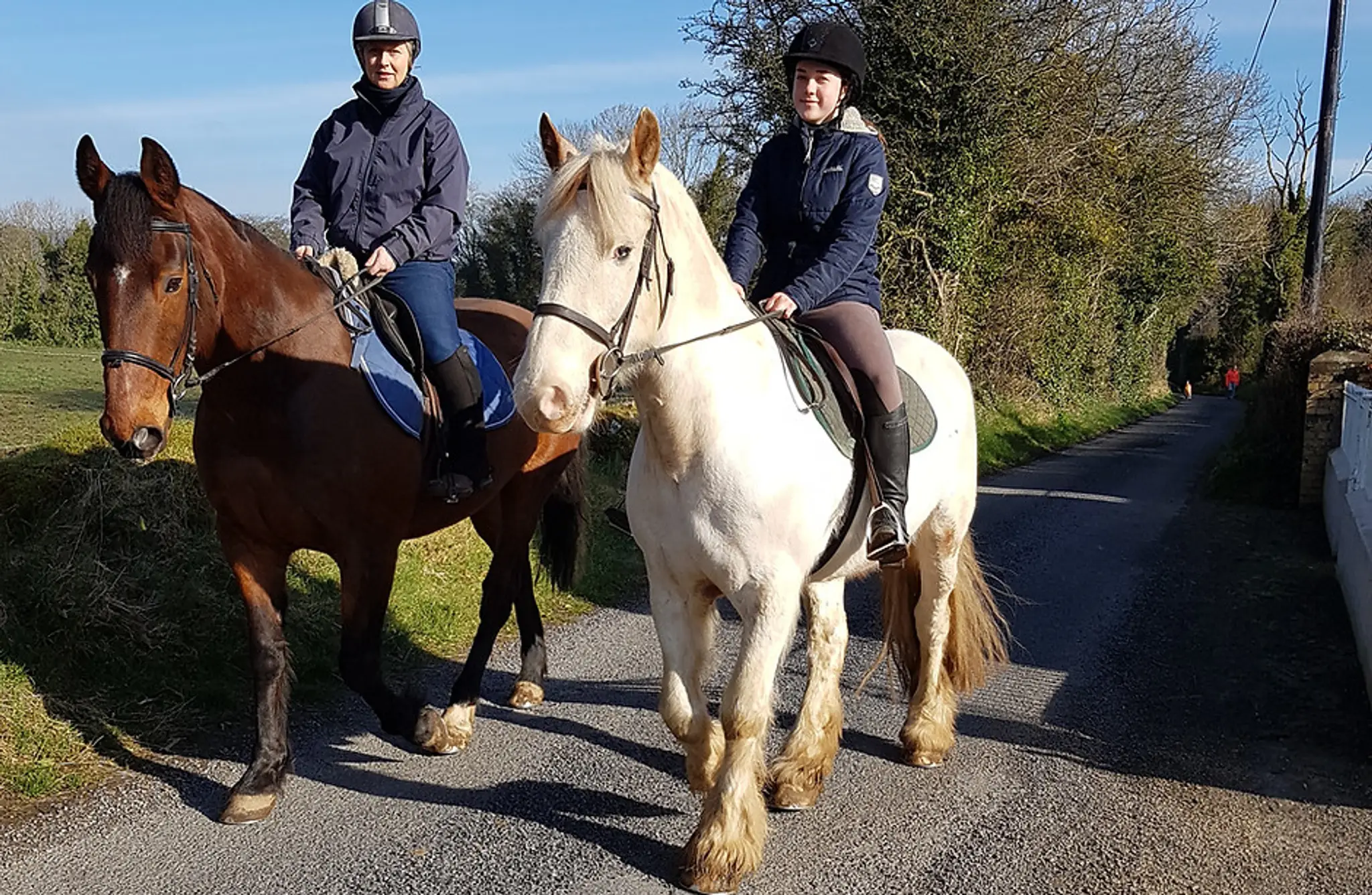 Ash Lee Riding Centre