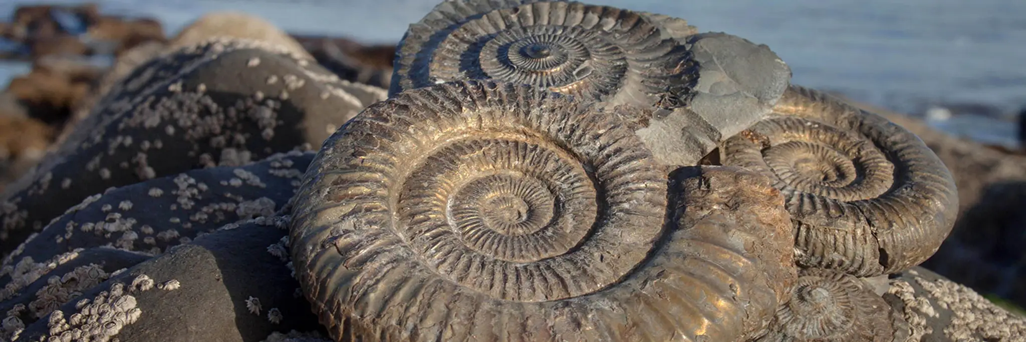 Mini Golf Lyme Regis