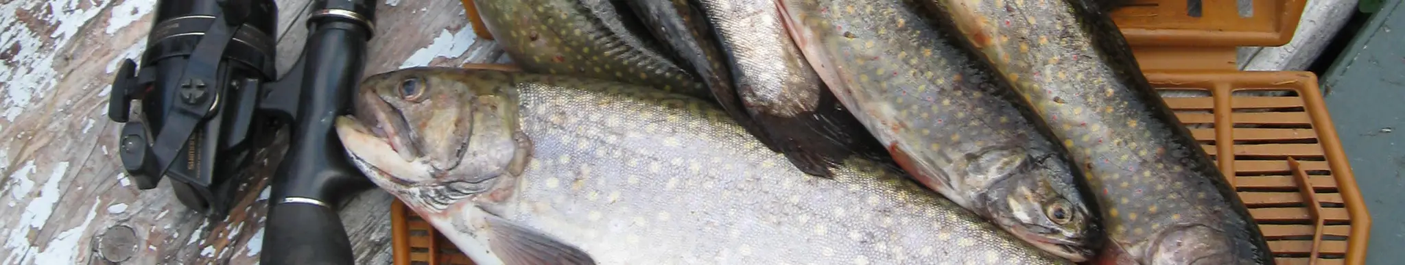 Domaine Chasse et Pche Gaudias Foster Inc