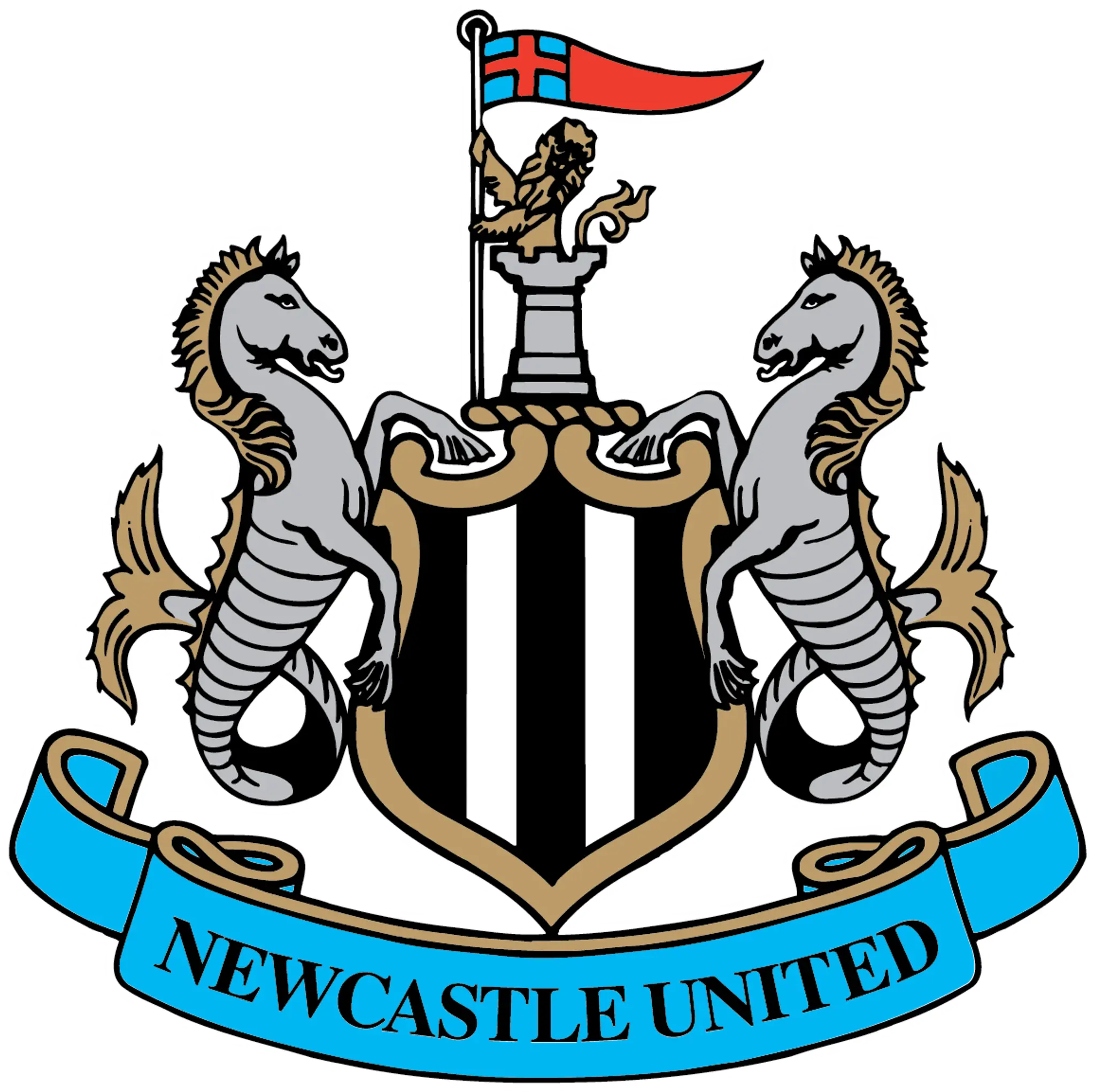 Newcastle United Academy
