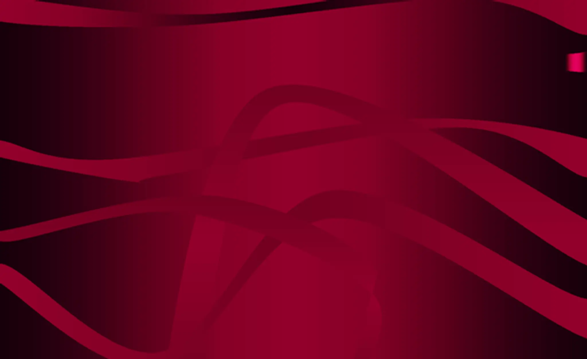 Rising Phoenix gymnastics