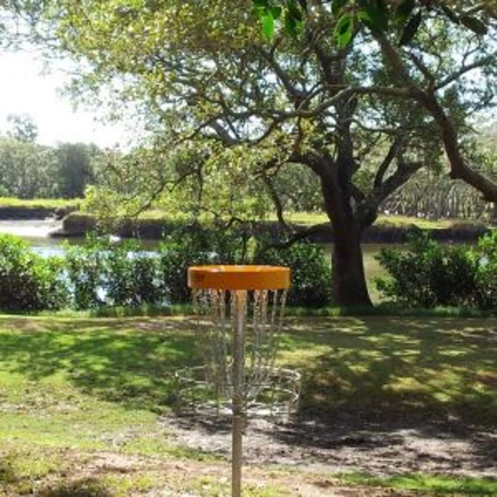 Pine Rivers Park Disc Golf Course