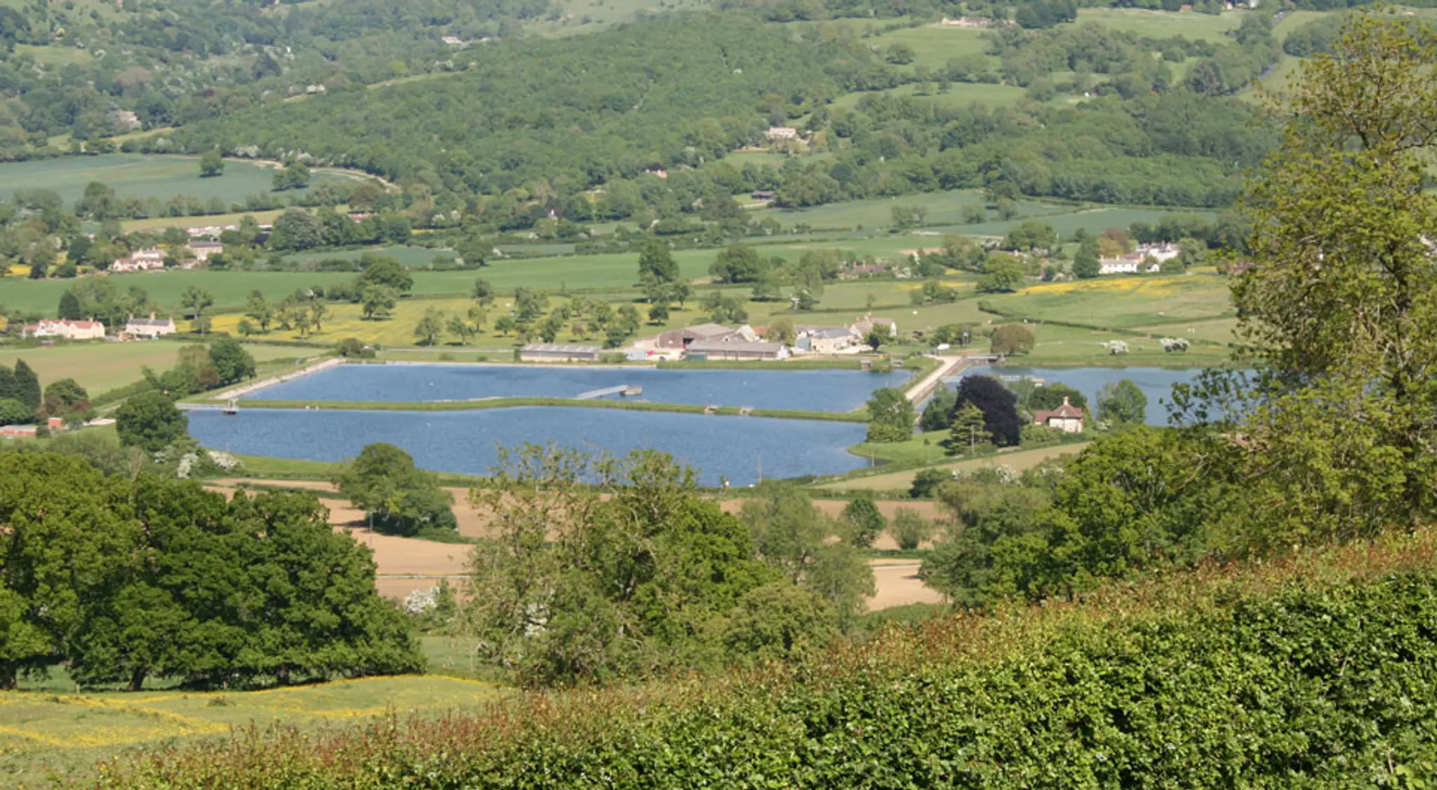 Witcombe Waters Trout Fishery