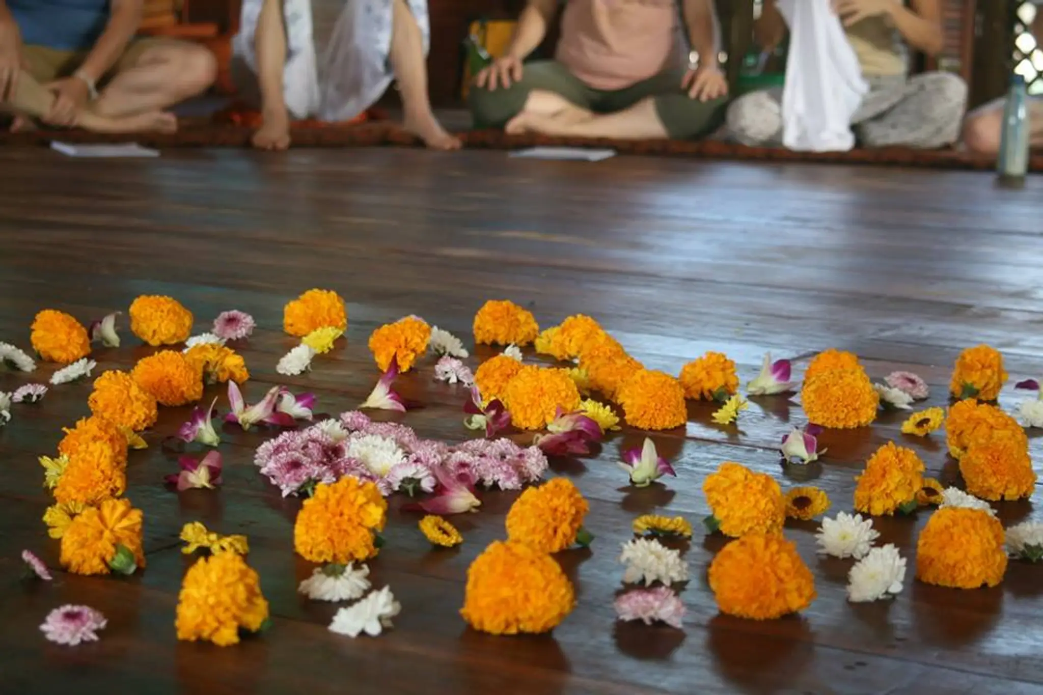 Mudita School of Thai Yoga Massage