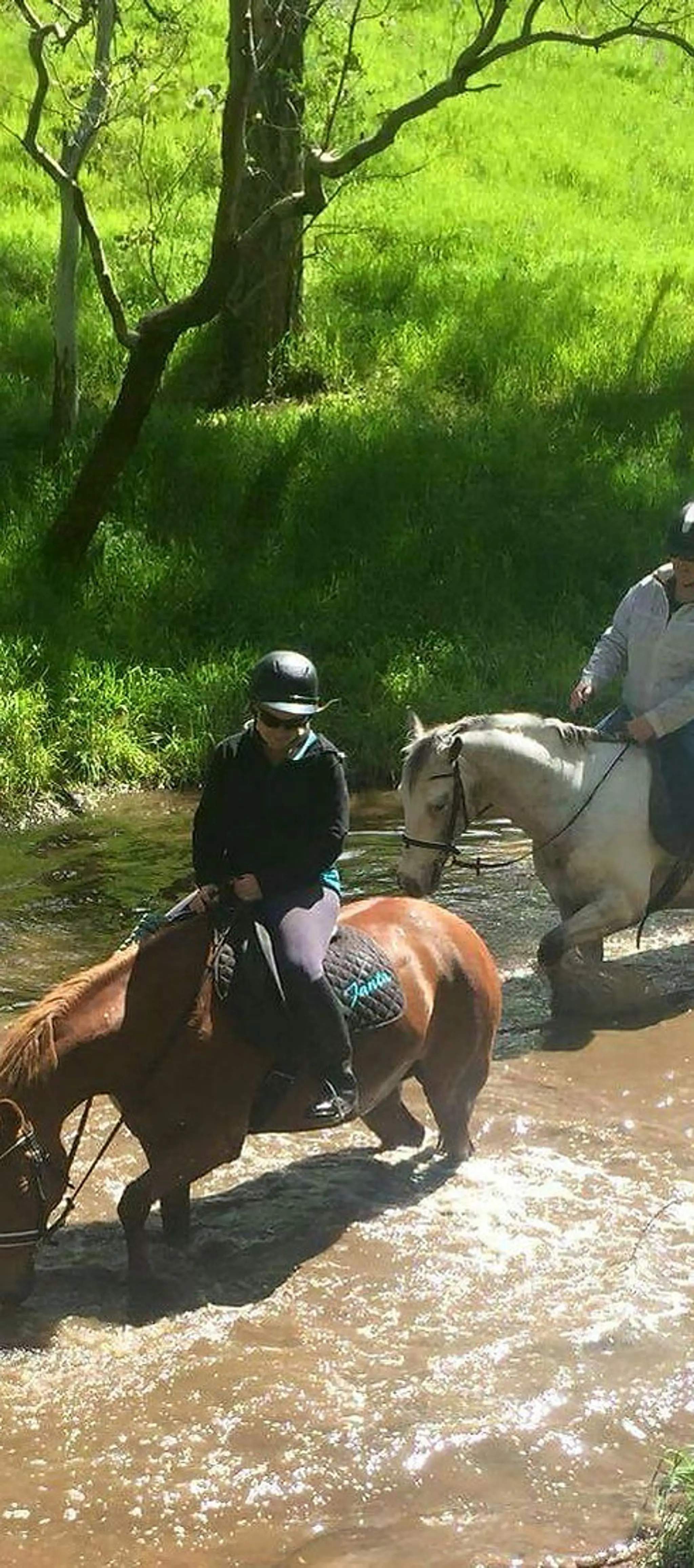 Nyroca Riding Centre