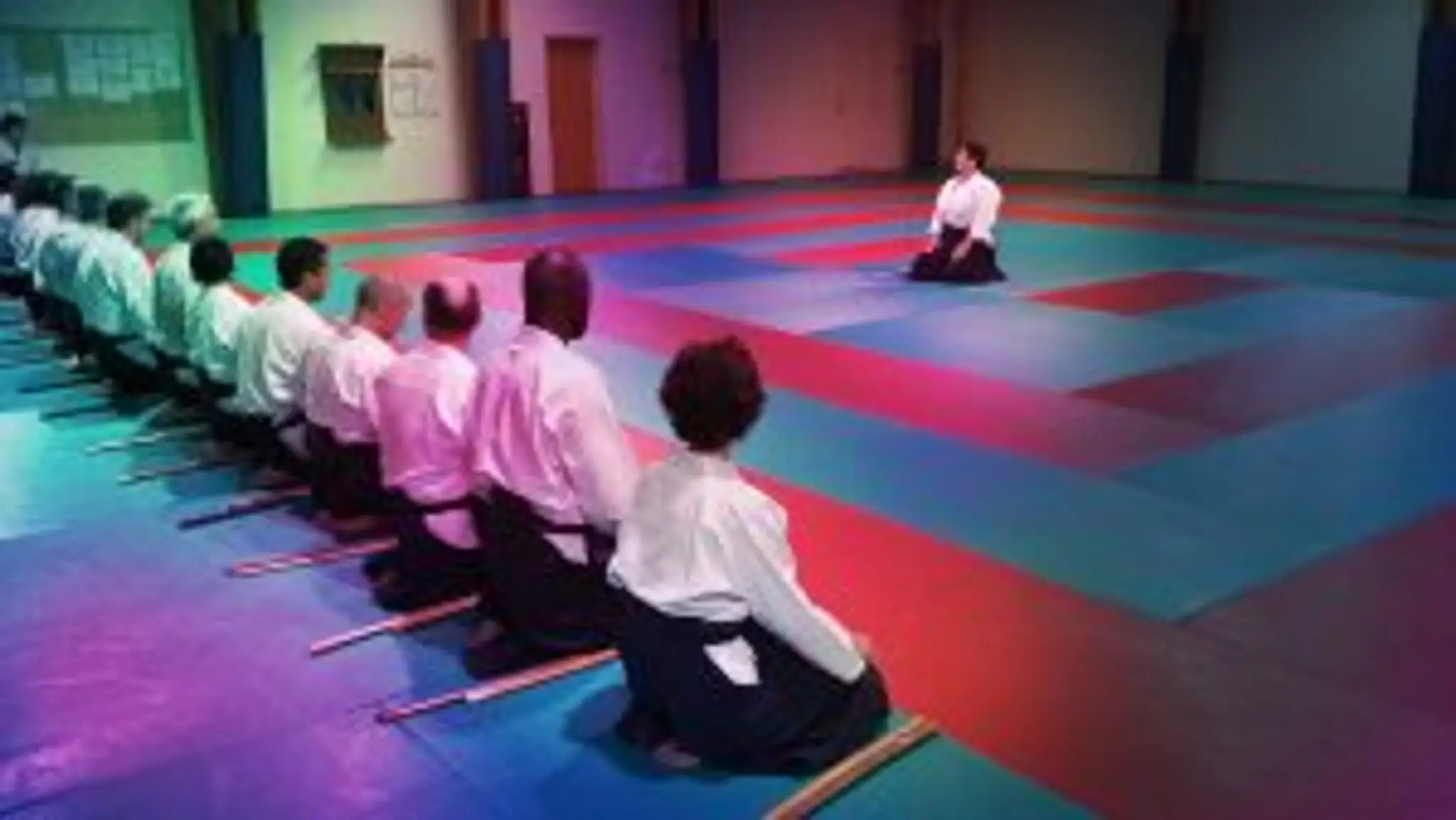 Karaté Do Goju Ryu Bordeaux