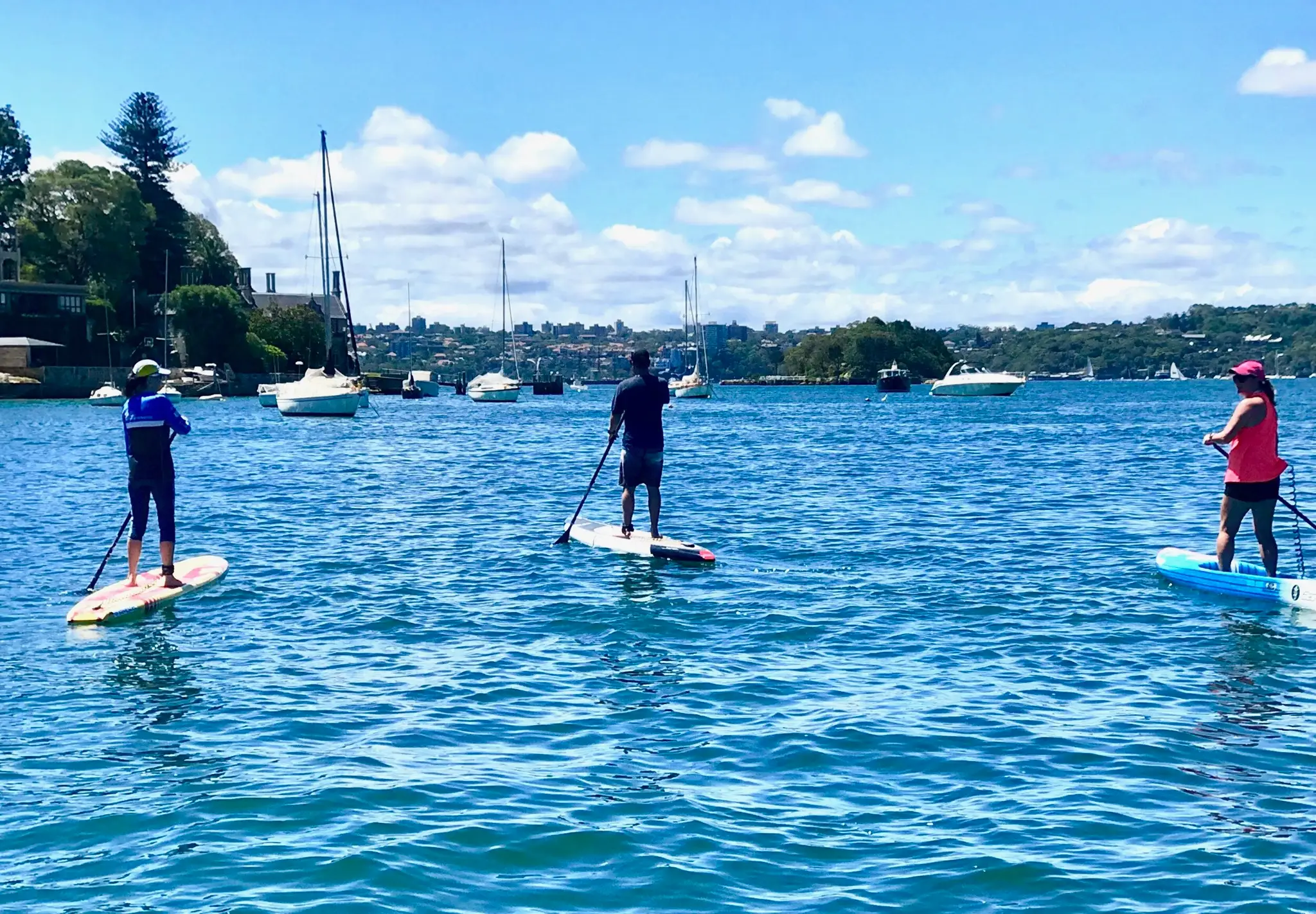 Double Bay Stand Up Paddle