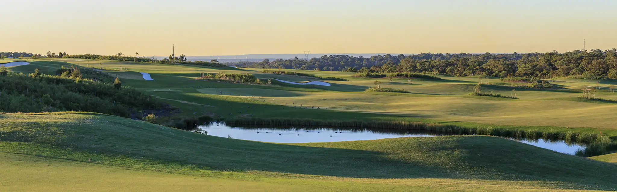 Birdie Links - Golf with Tammy Wong