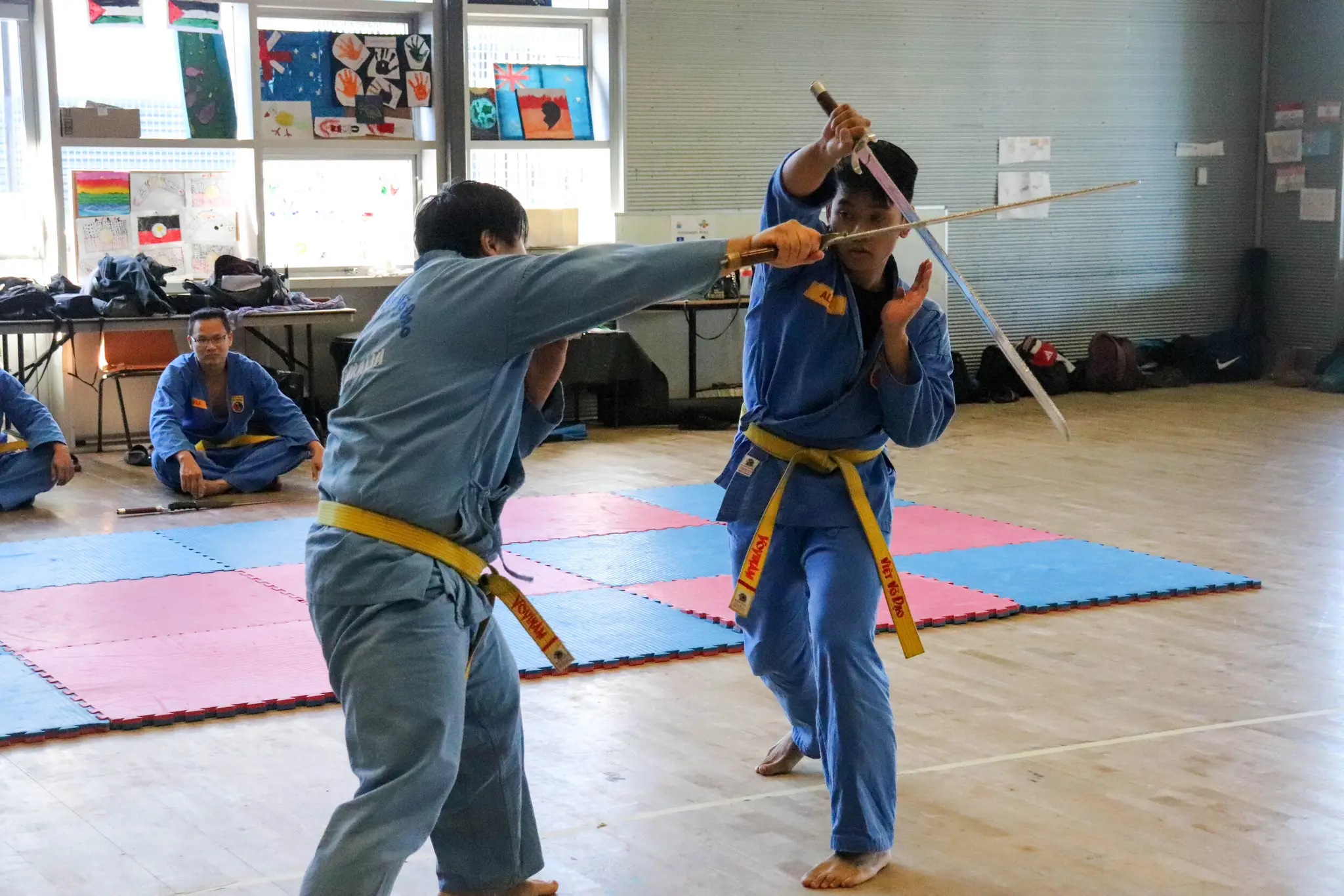 Vovinam Viet Vo Dao Chester Hill