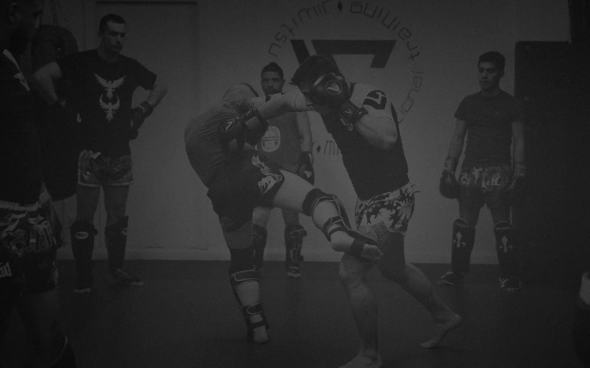Vieira Martial Arts
