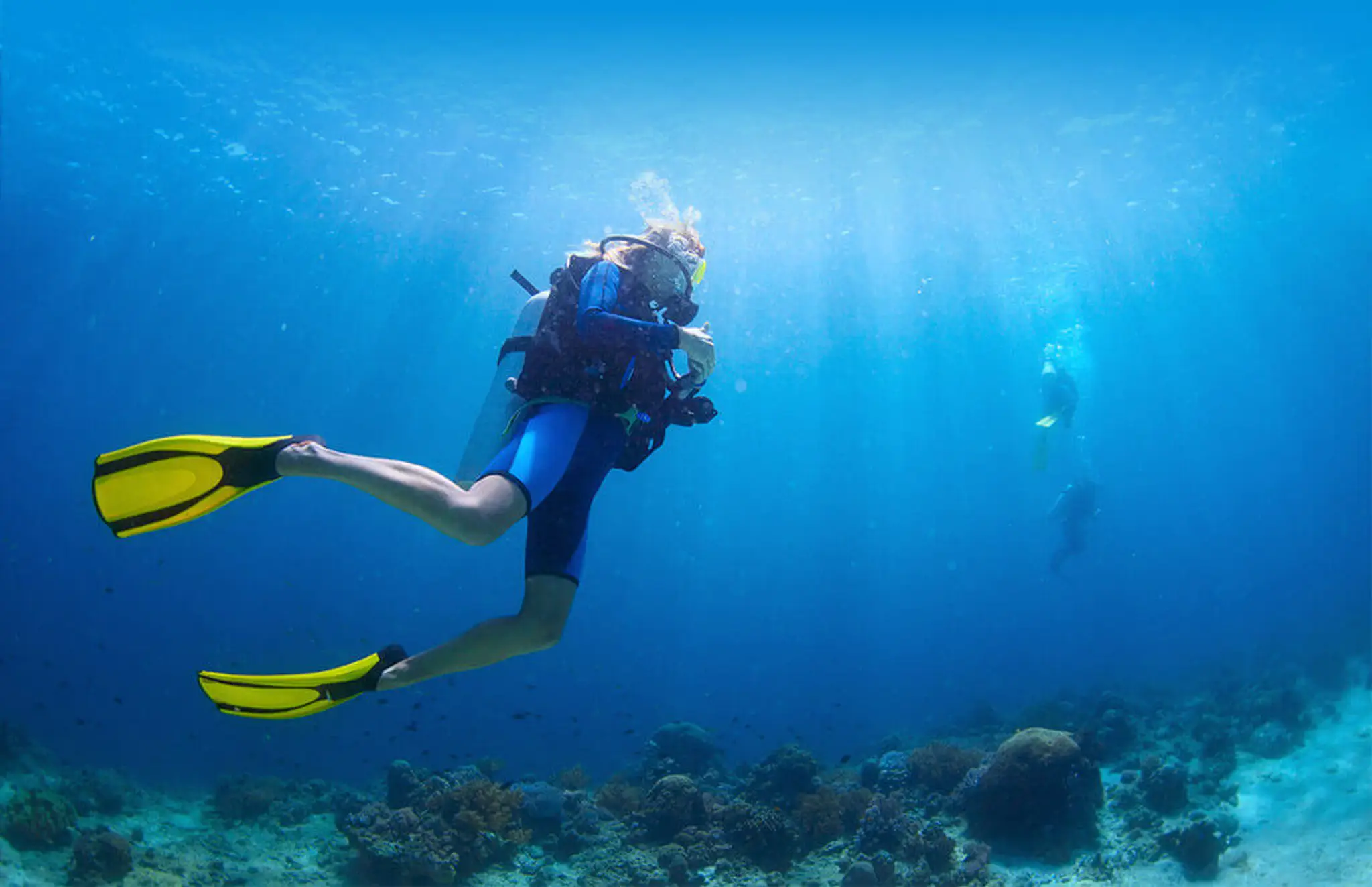 Neptune Diving Club