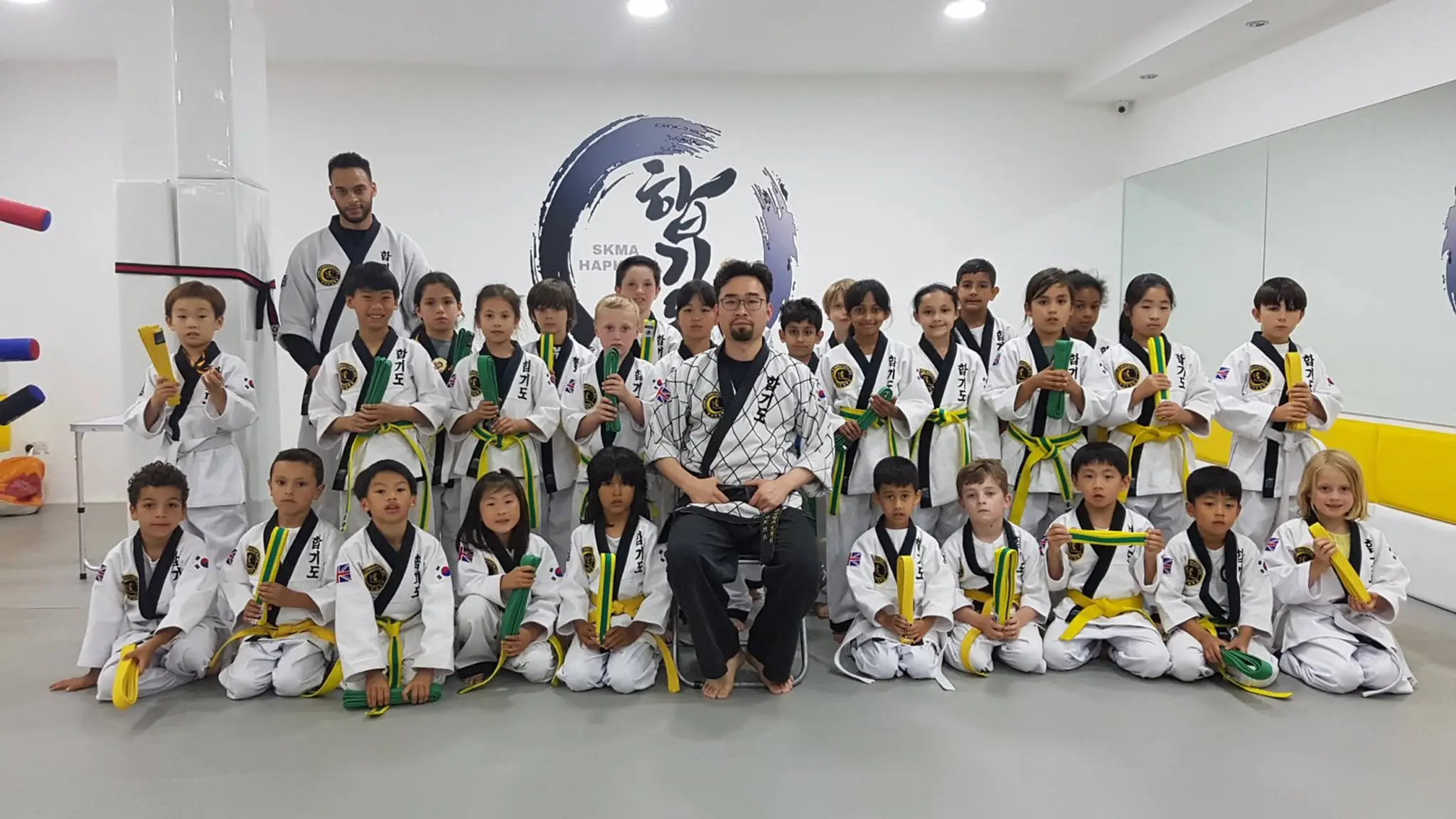Hapkido (School of Korean Martial Arts)