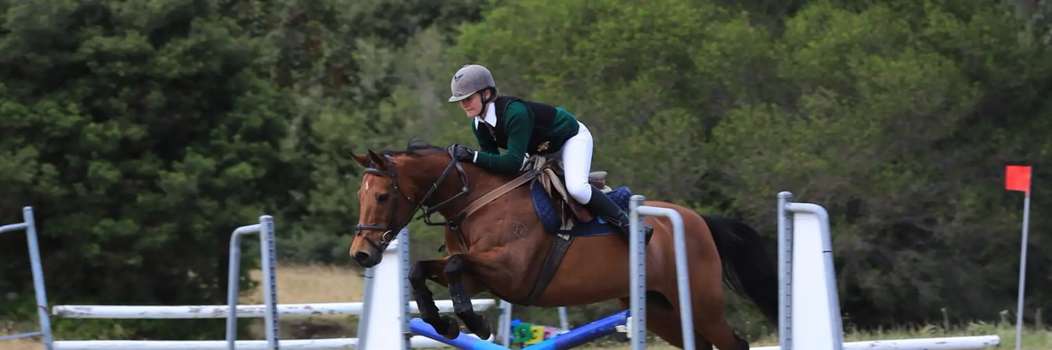 Barwon Heads & District Pony Club
