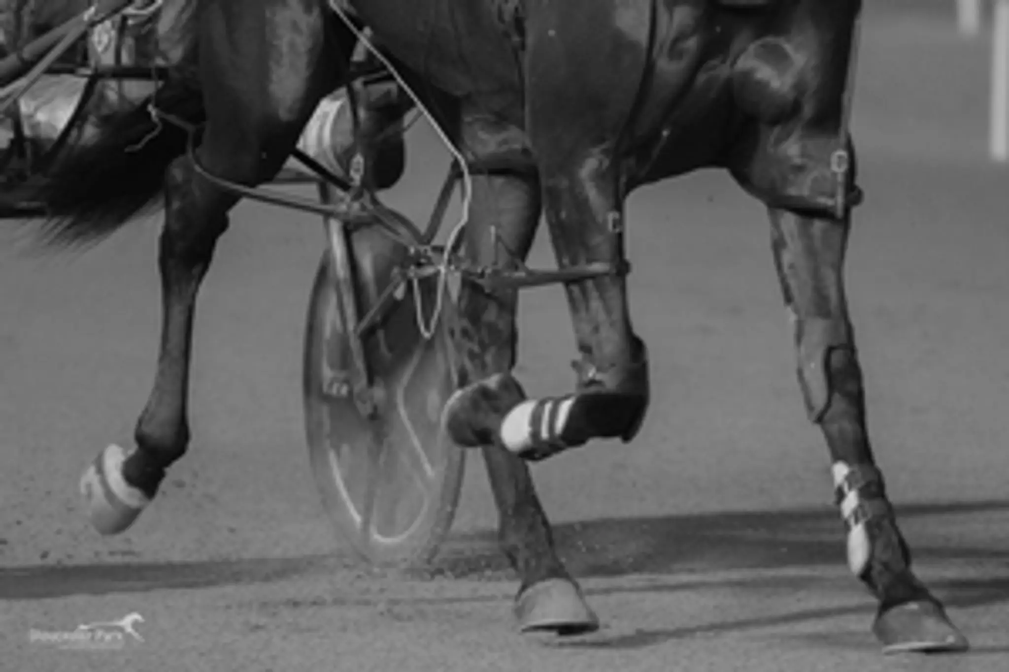 Nyah District Harness Racing Club