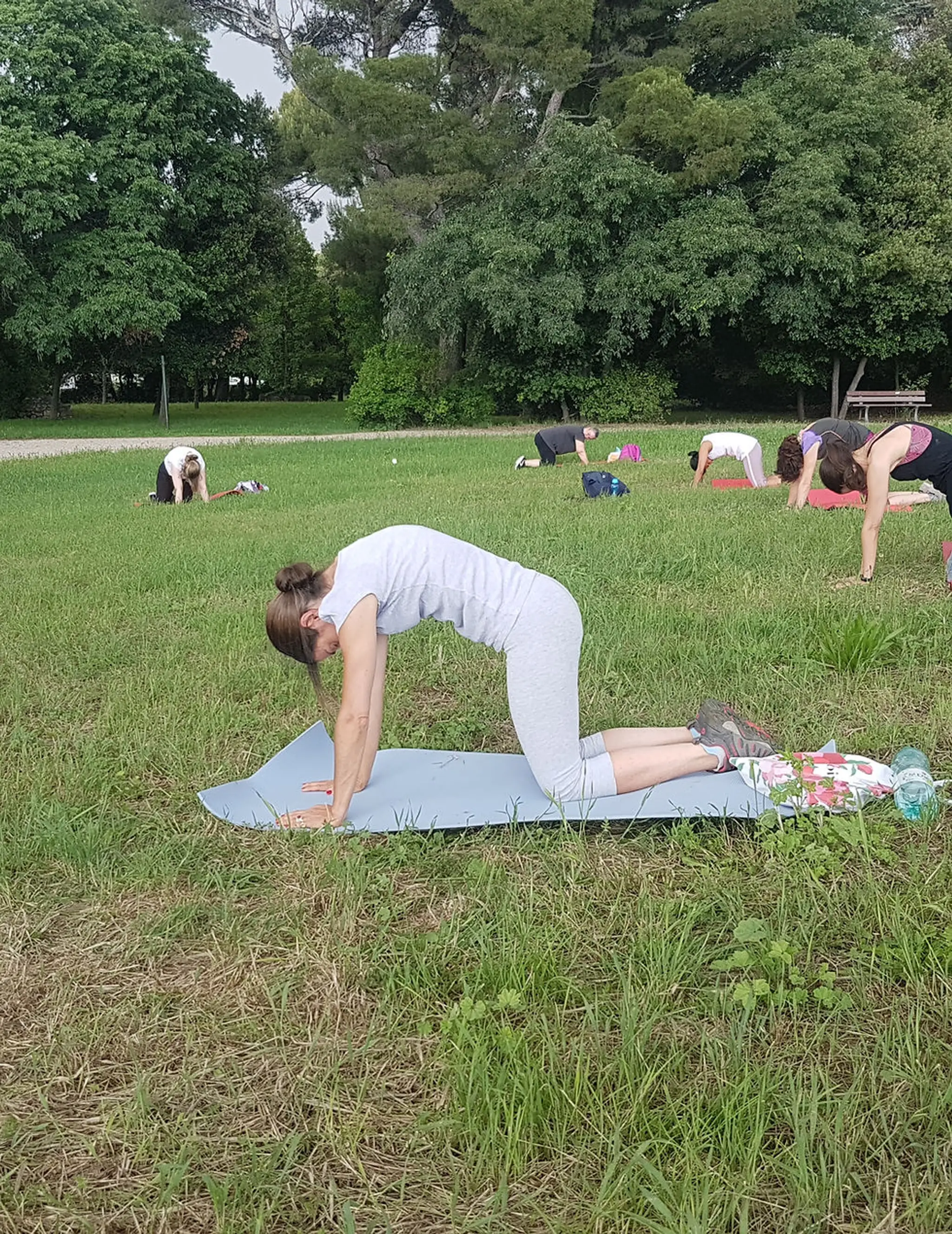 Zumba, Body Sculpt, Gym seniors - FITZFORM