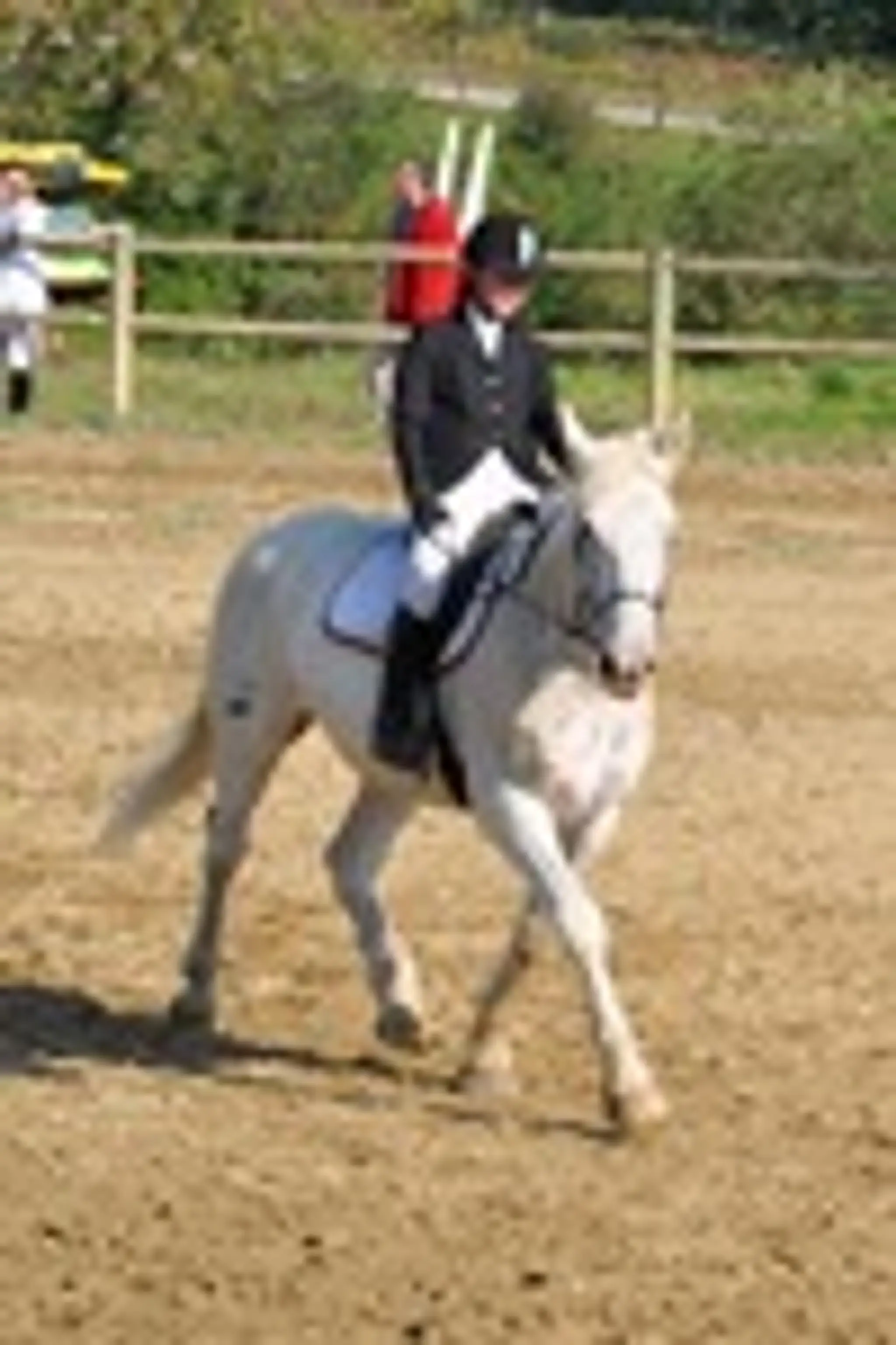 PONEY CLUB ATOUT CRIN