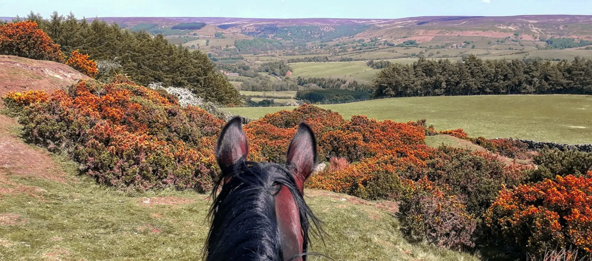 Bilsdale Riding Centre