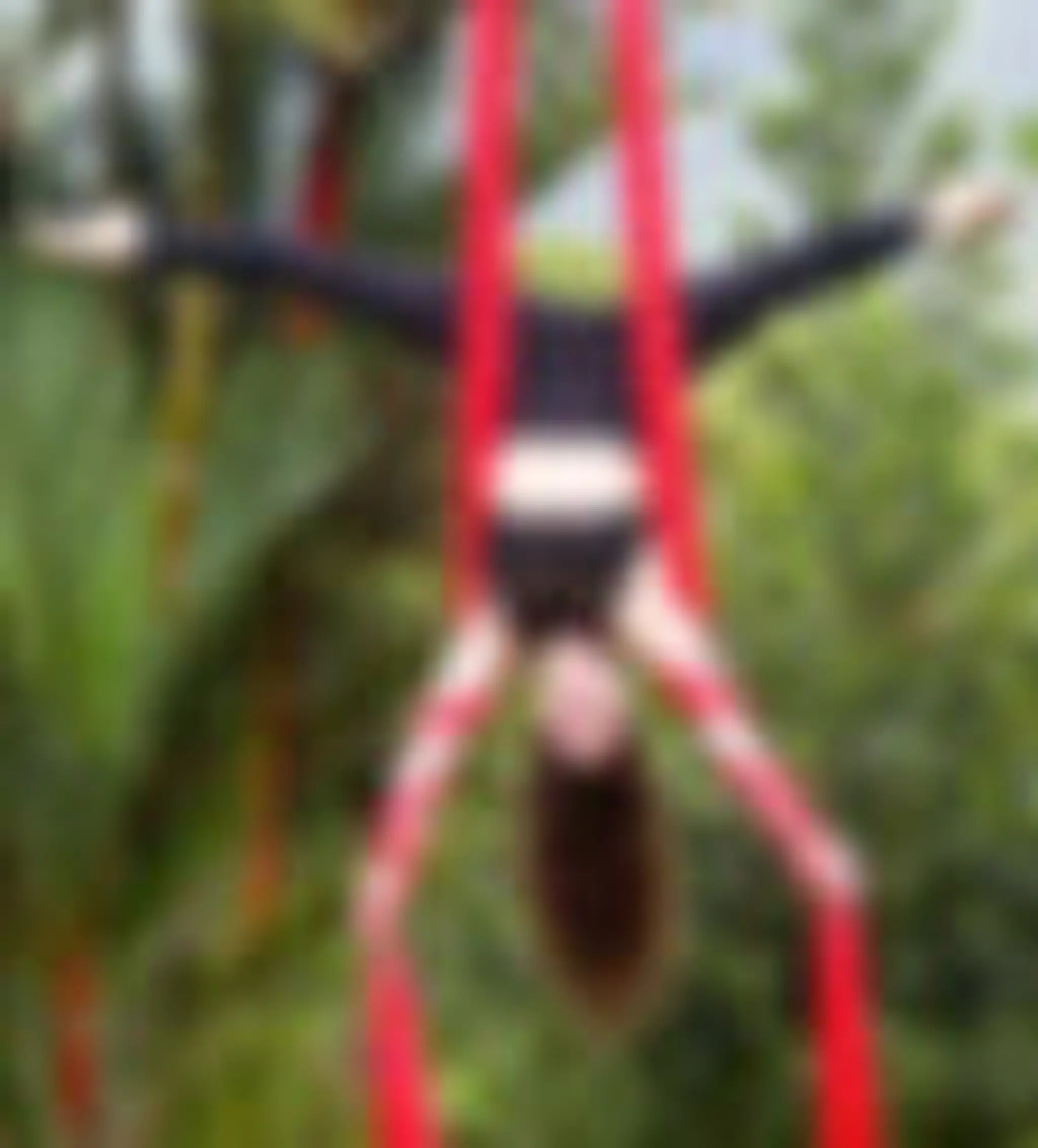 Sunshine Aerial Fitness