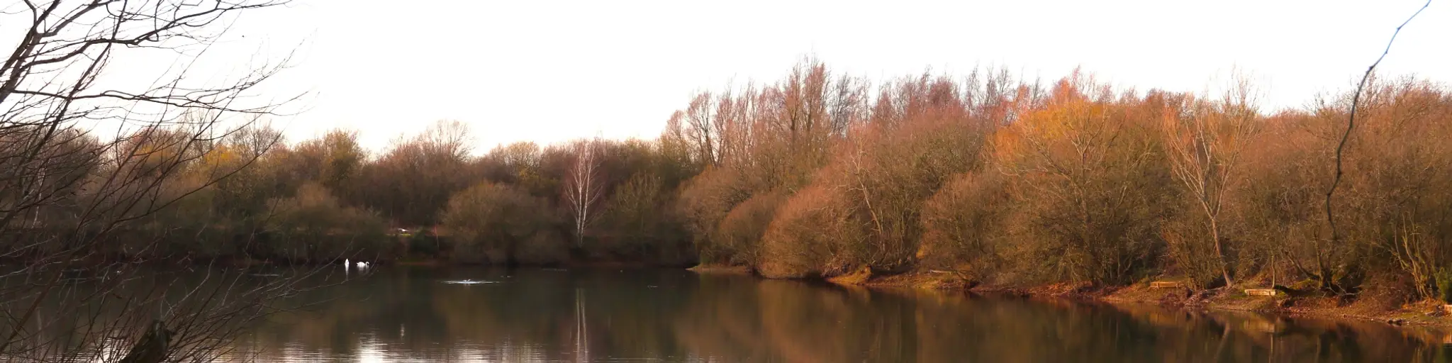 Inworth Grange Lake 1