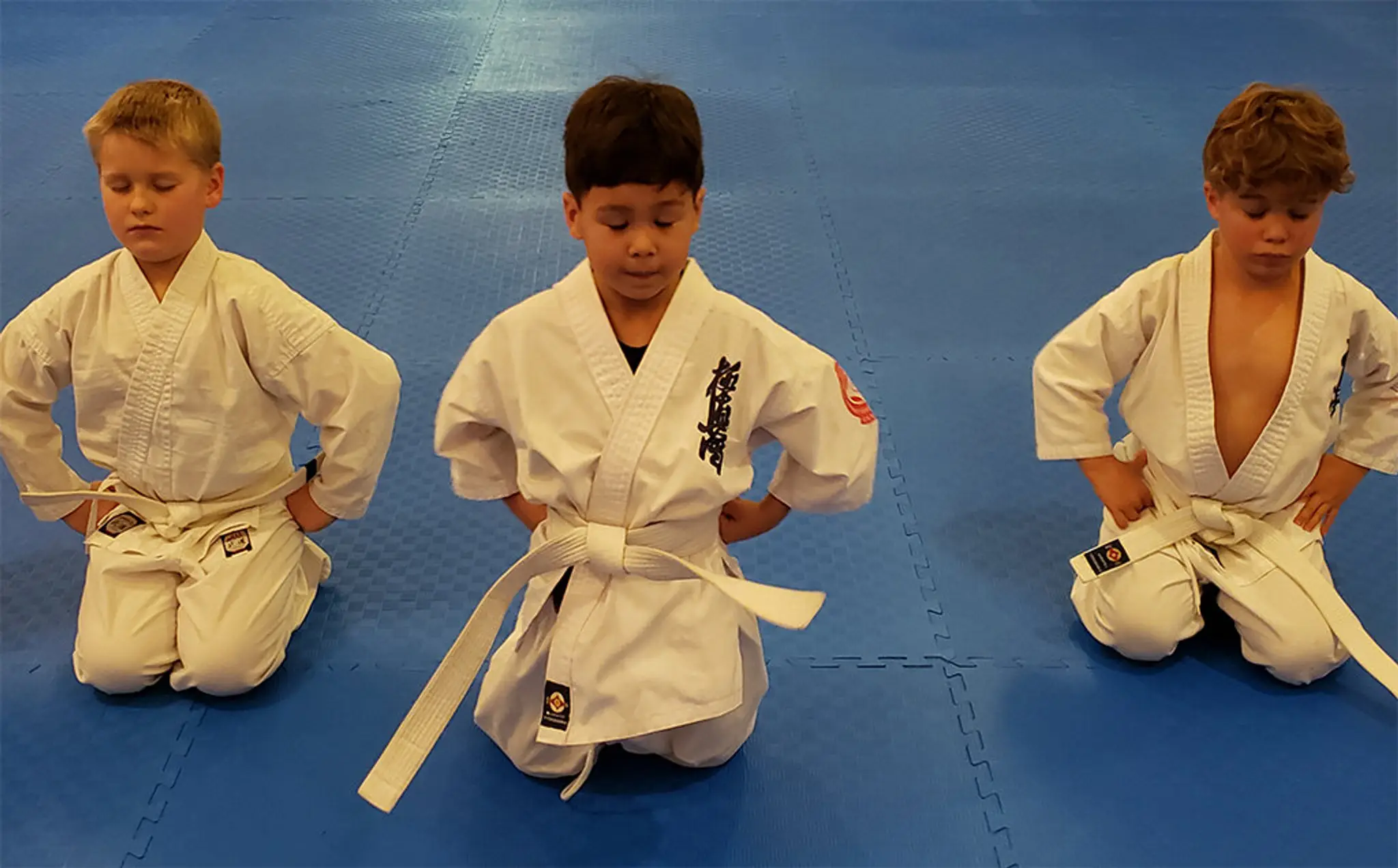 Ladysmith Kyokushin Karate