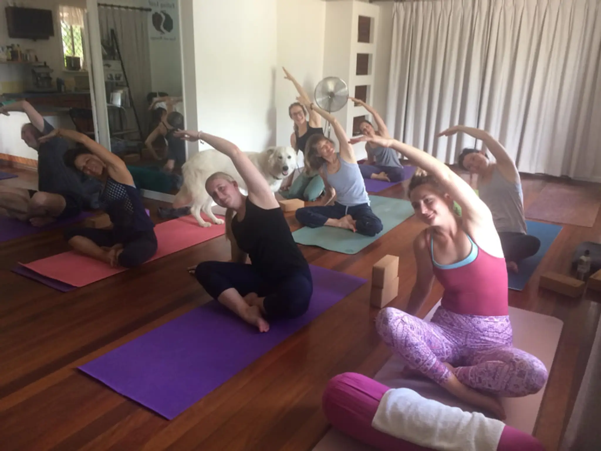 Falling Leaf Yoga and Massage