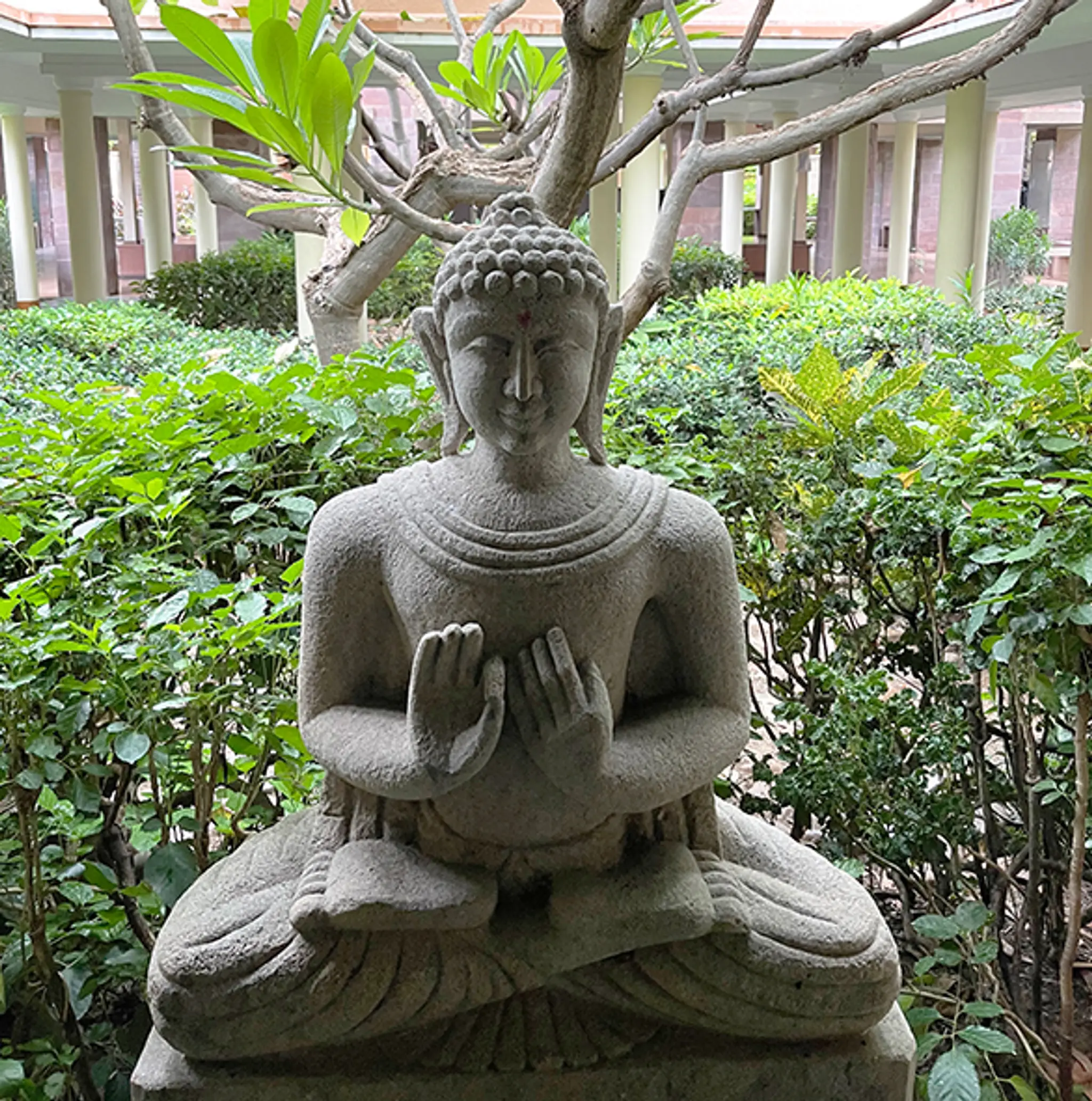 Shankus Natural Health Centre. India’s best Clinically driven Naturopathy & Wellness Center