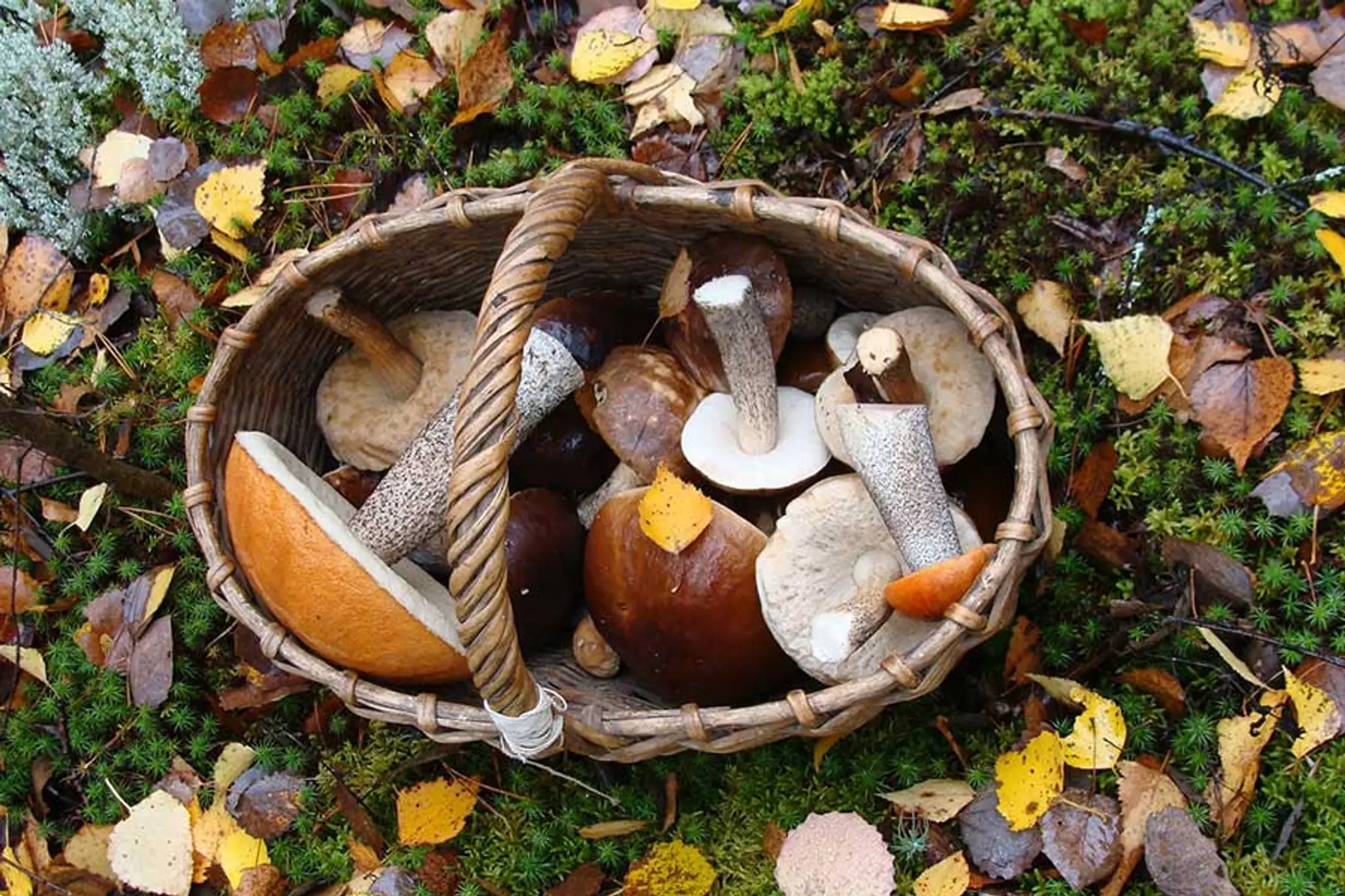 greentreeyogaportsmouth