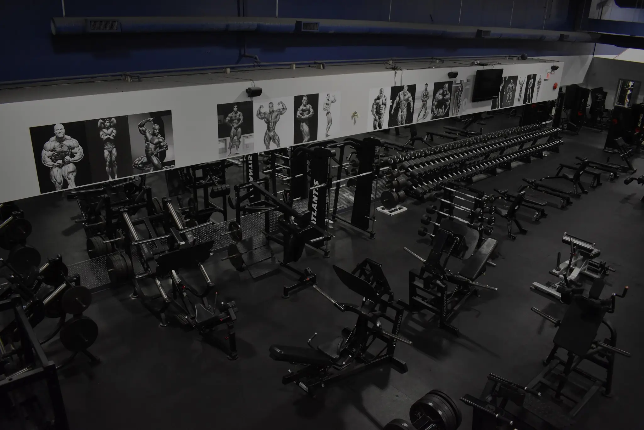 Total Fitness