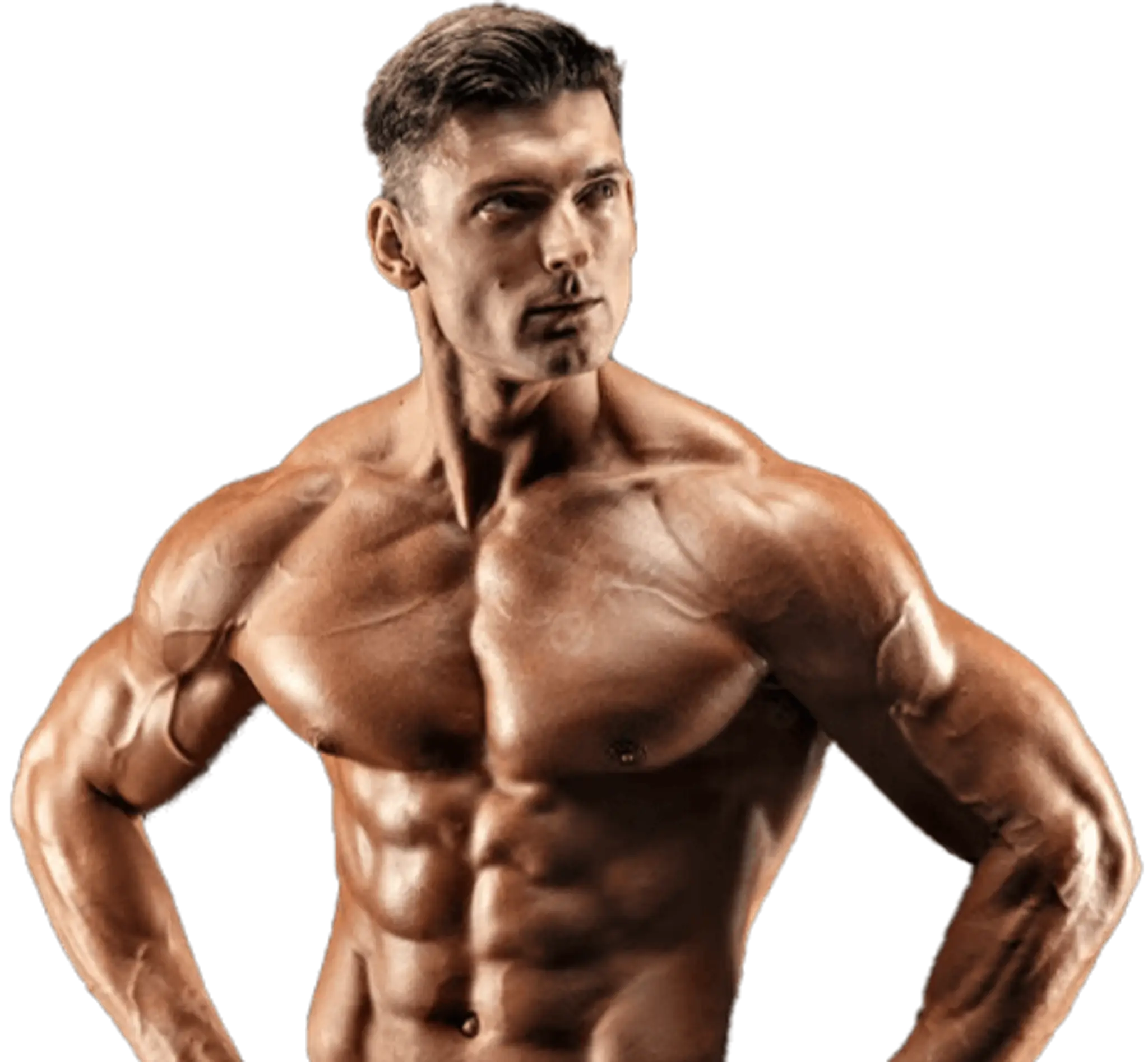 Steve's Gym - Kothanur