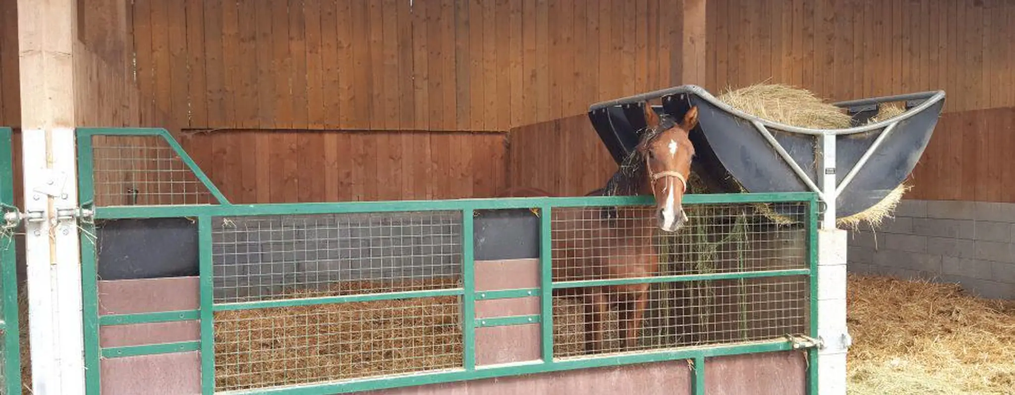 Ecurie Ingrid Poupard