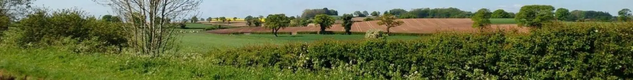 Diss & District Bowls Club