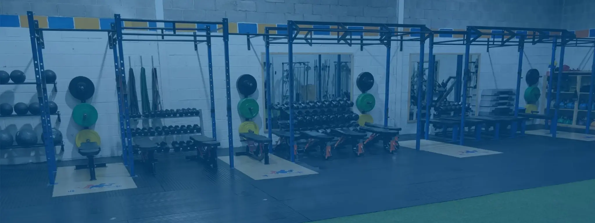 True Fitness Naas